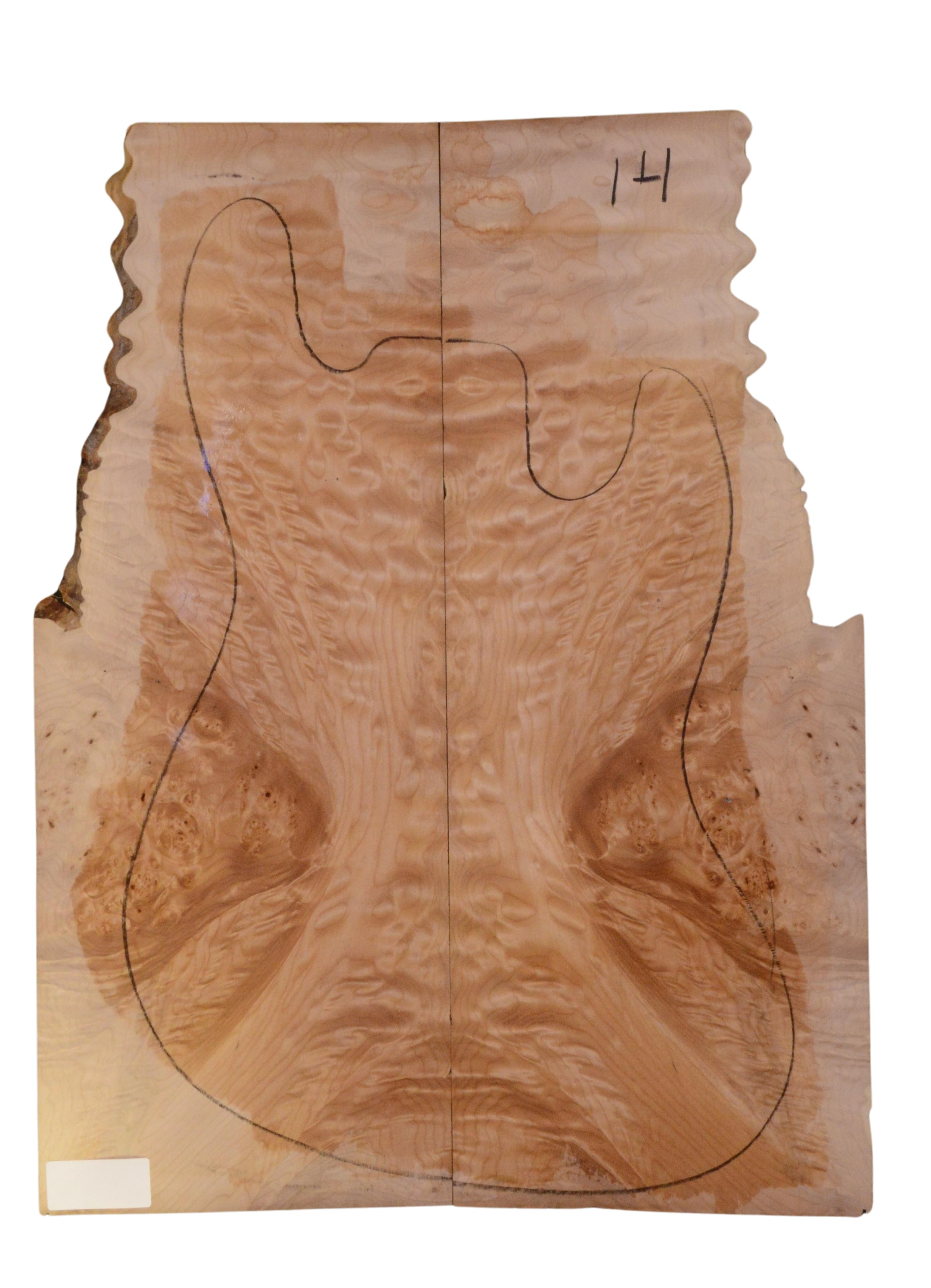 Maple (Big Leaf) GuitarSolidBodyTopATC 23966.G.003