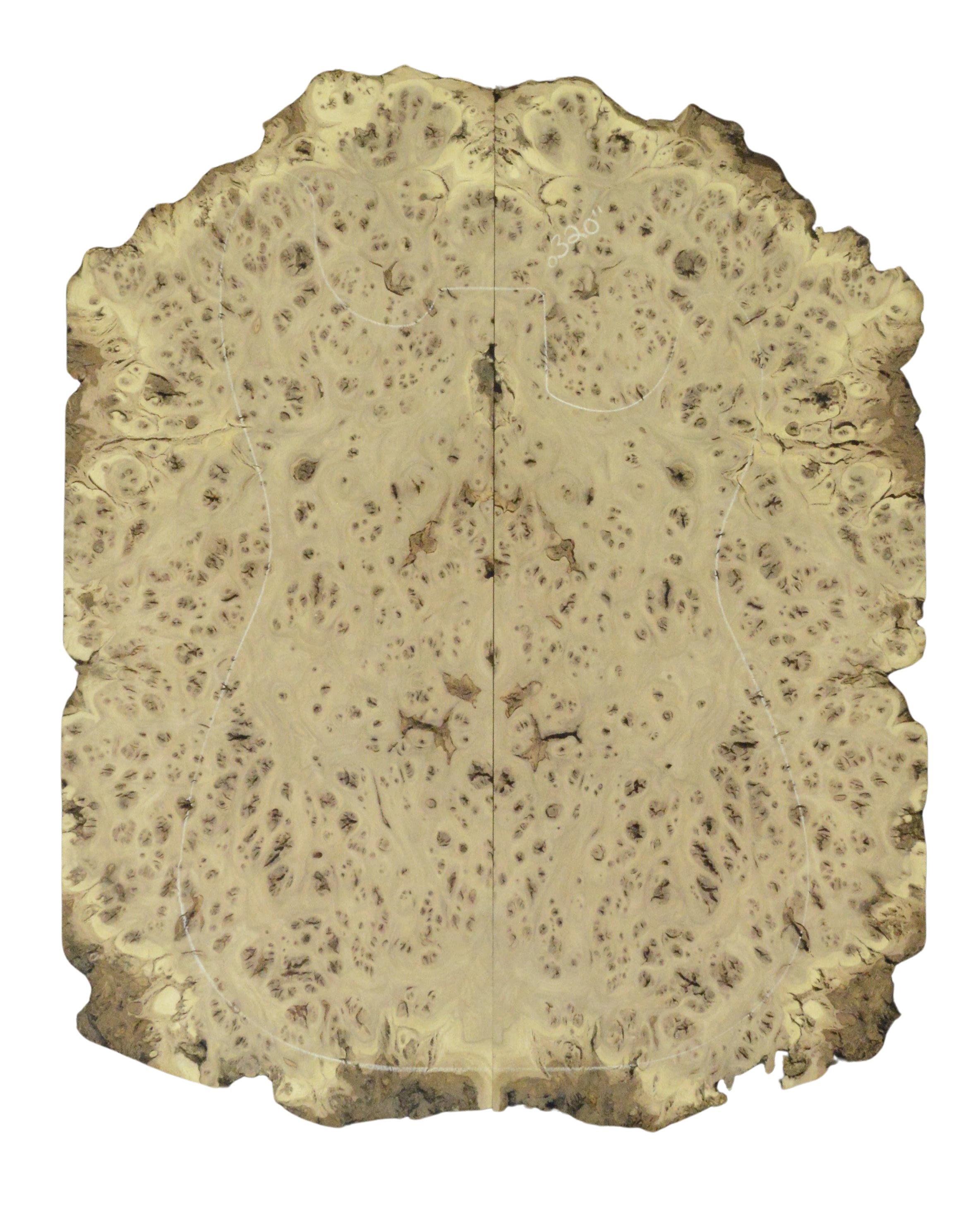 Elm (Red) GuitarSolidBodyTopATC 26213.G.009