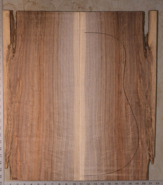 Walnut (English) GuitarBack2pcATC BB1181.G.001