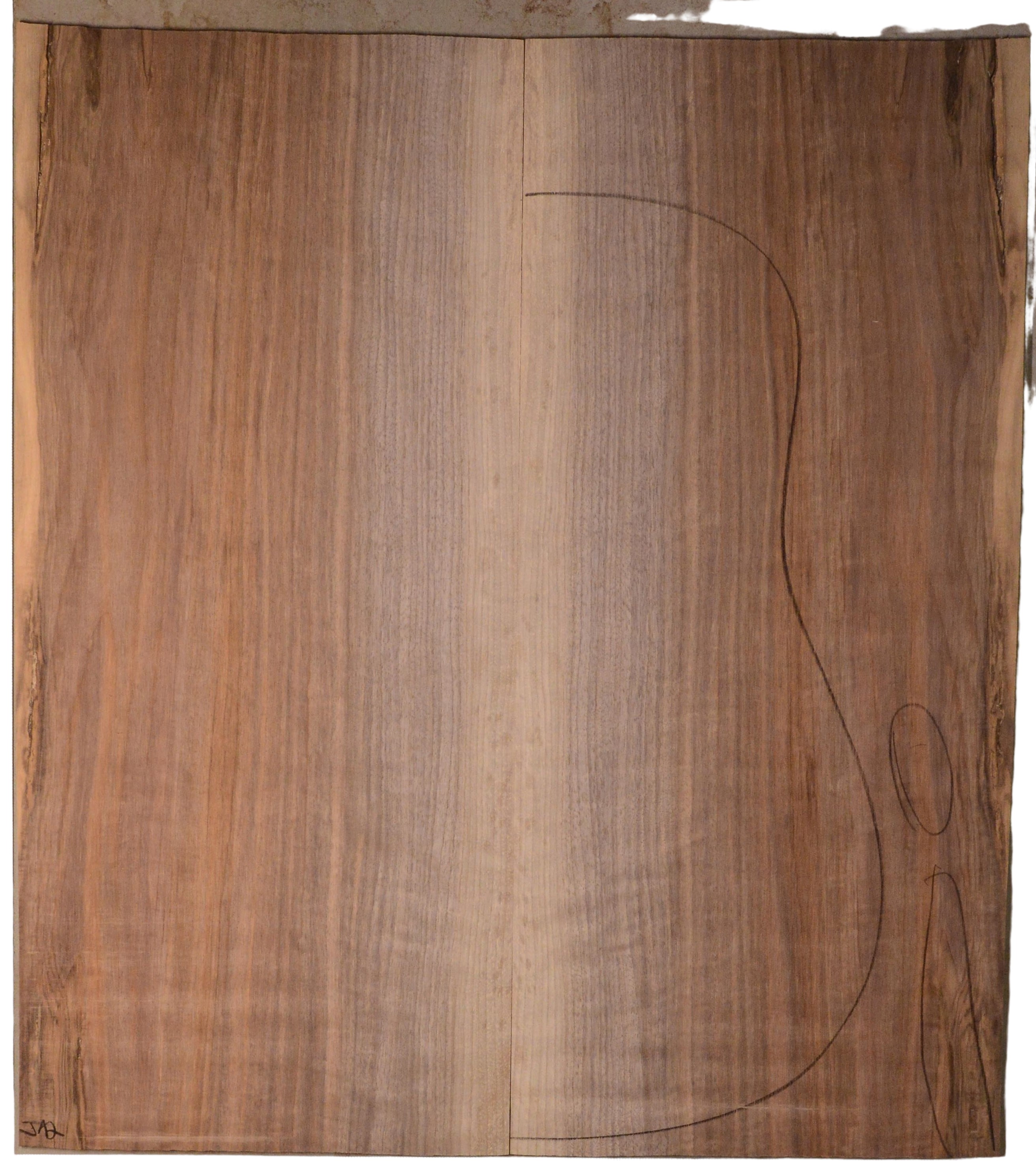 Walnut (English) GuitarBack2pcATC BB1181.G.007