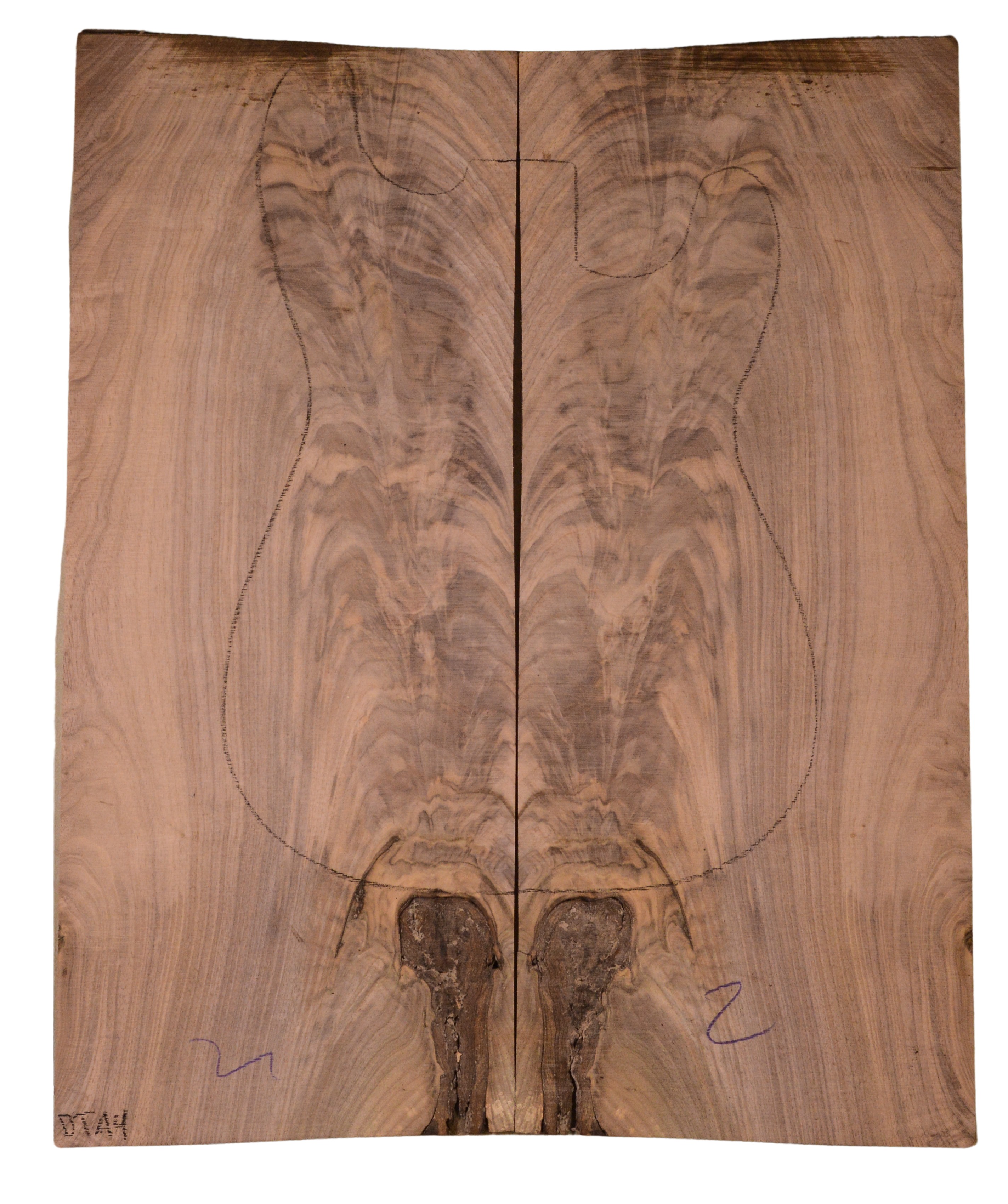 Walnut (Black) GuitarSolidBodyTopATC BB3149.G.002