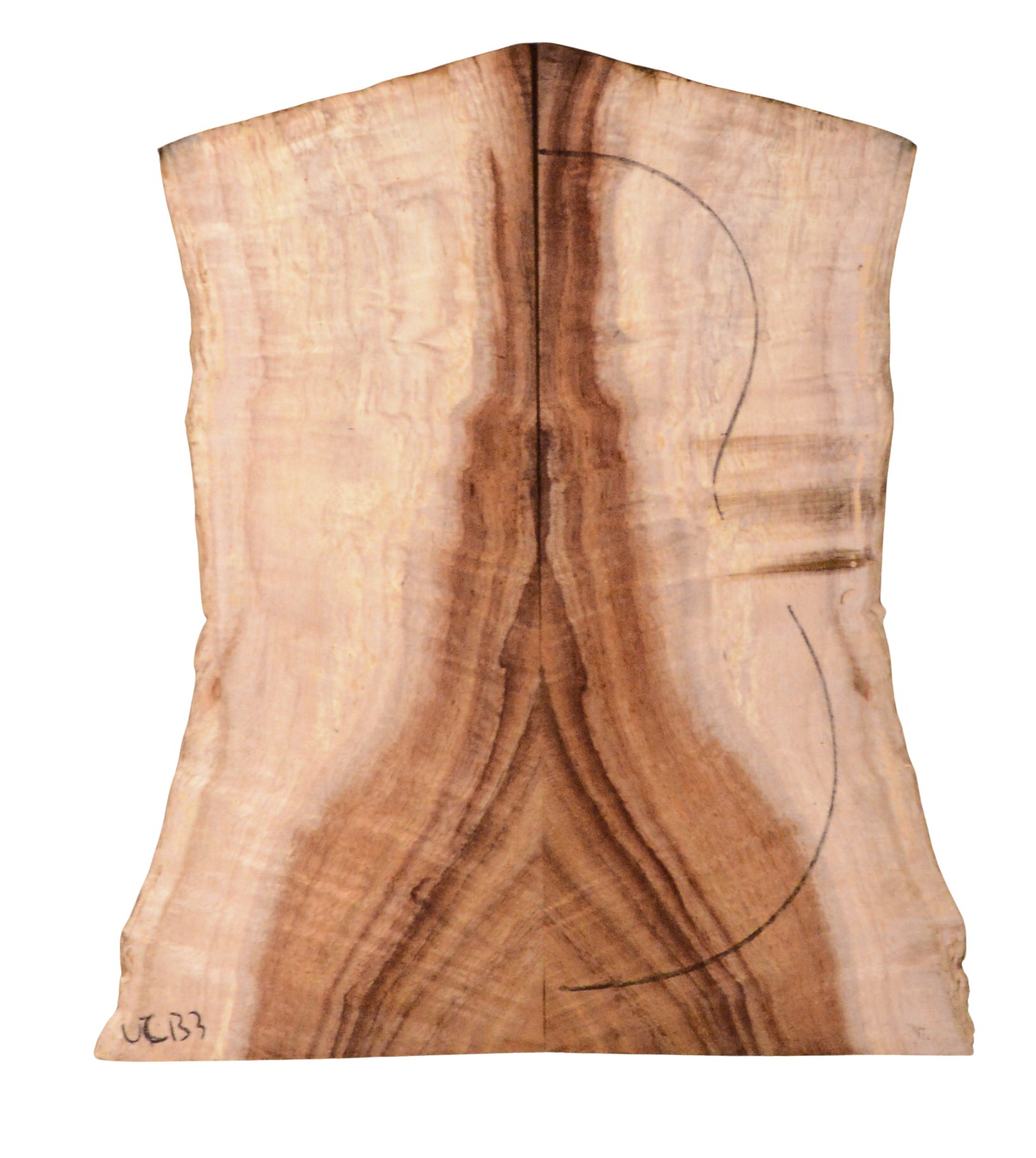 Koa UkeBack2pcATC BB3811.G.021