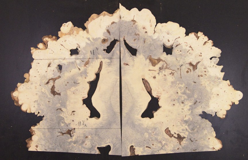 Buckeye GuitarSolidBodyTopATC BEB.G.005