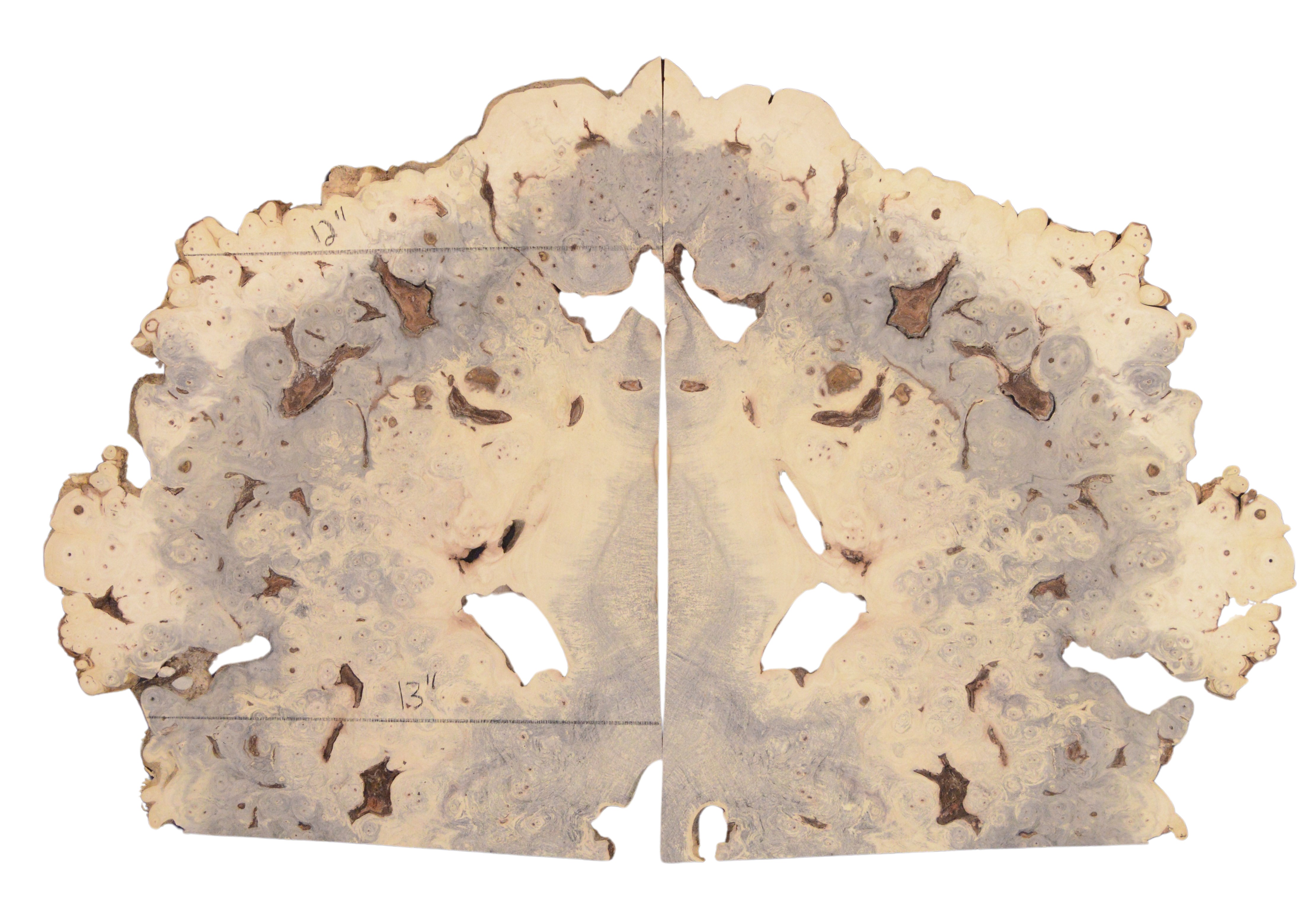 Buckeye GuitarSolidBodyTopATC BEB.G.006