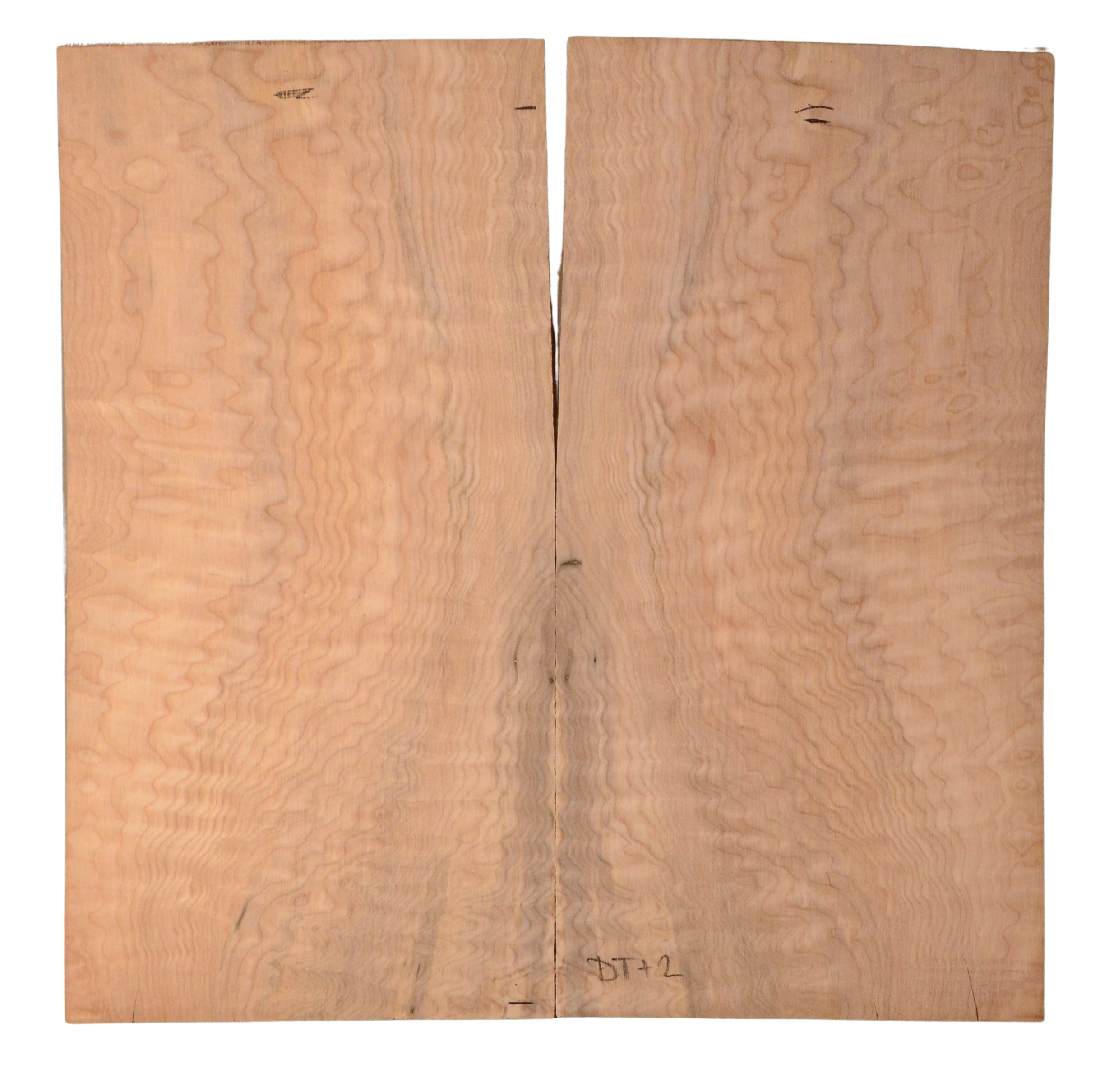 Maple (Big Leaf) GuitarSolidBodyTopATC BGLF1.G.003