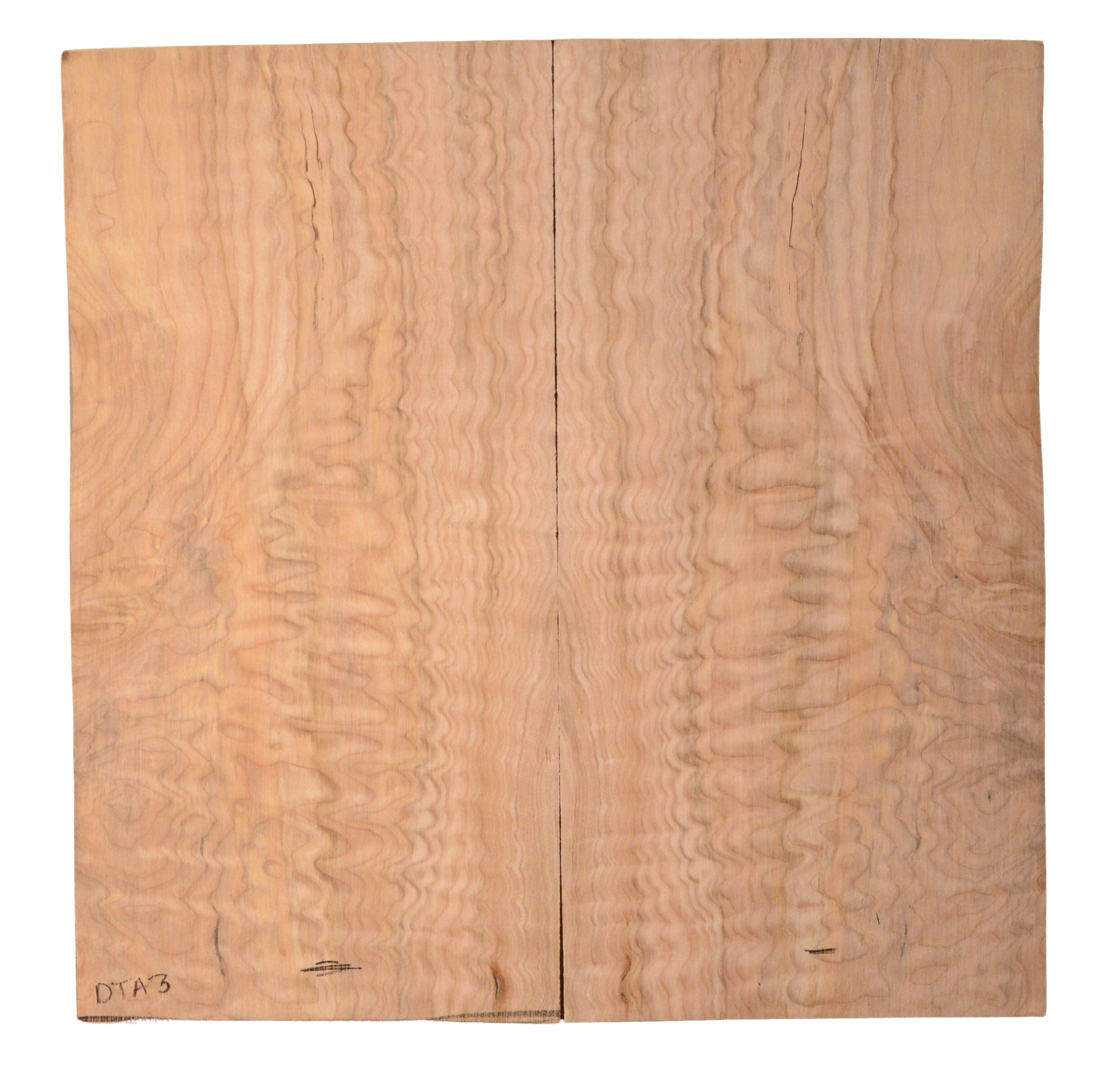 Maple (Big Leaf) GuitarSolidBodyTopATC BGLF1.G.004