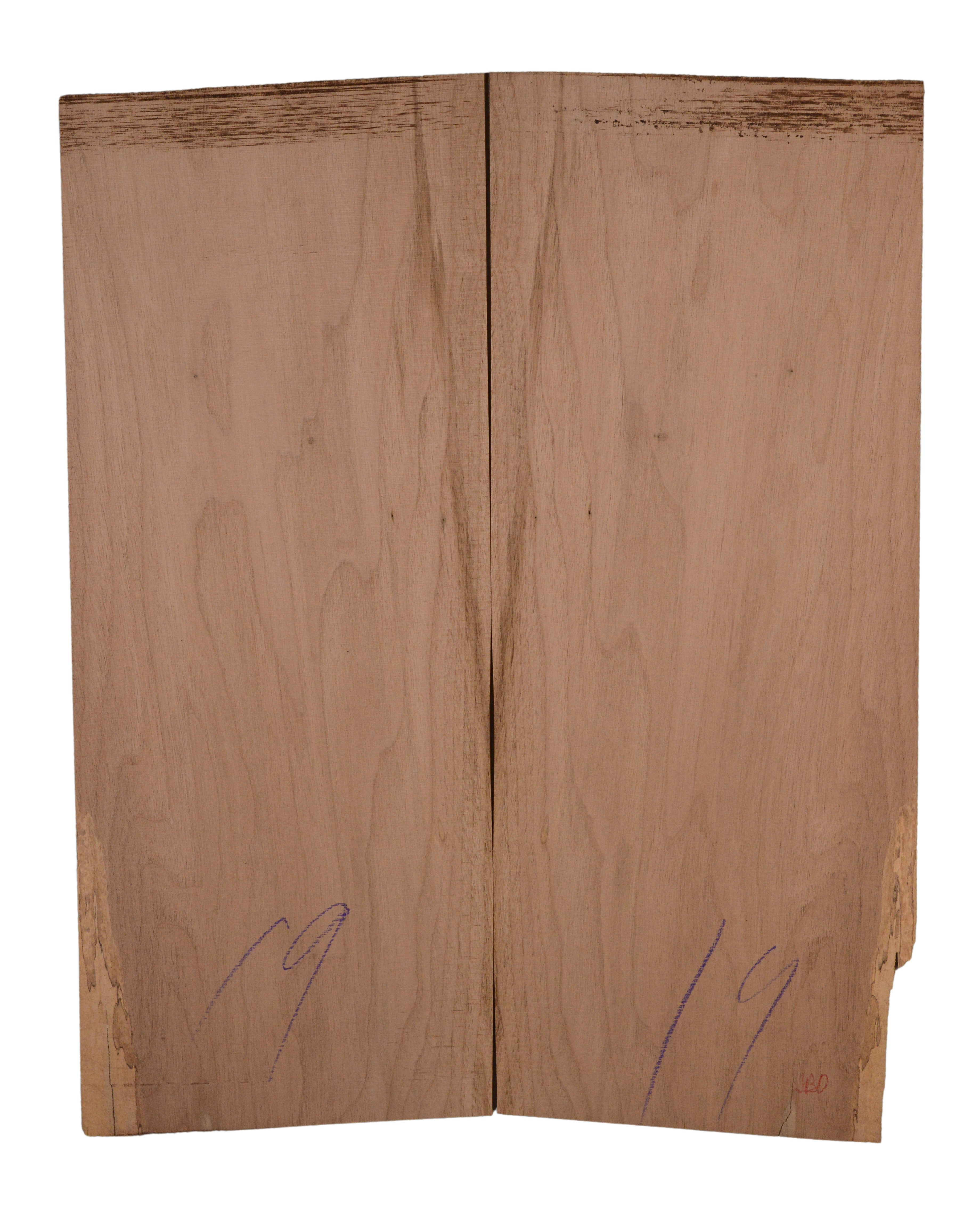 Walnut (European) GuitarBack2pcATC BLEURO1.G1.023