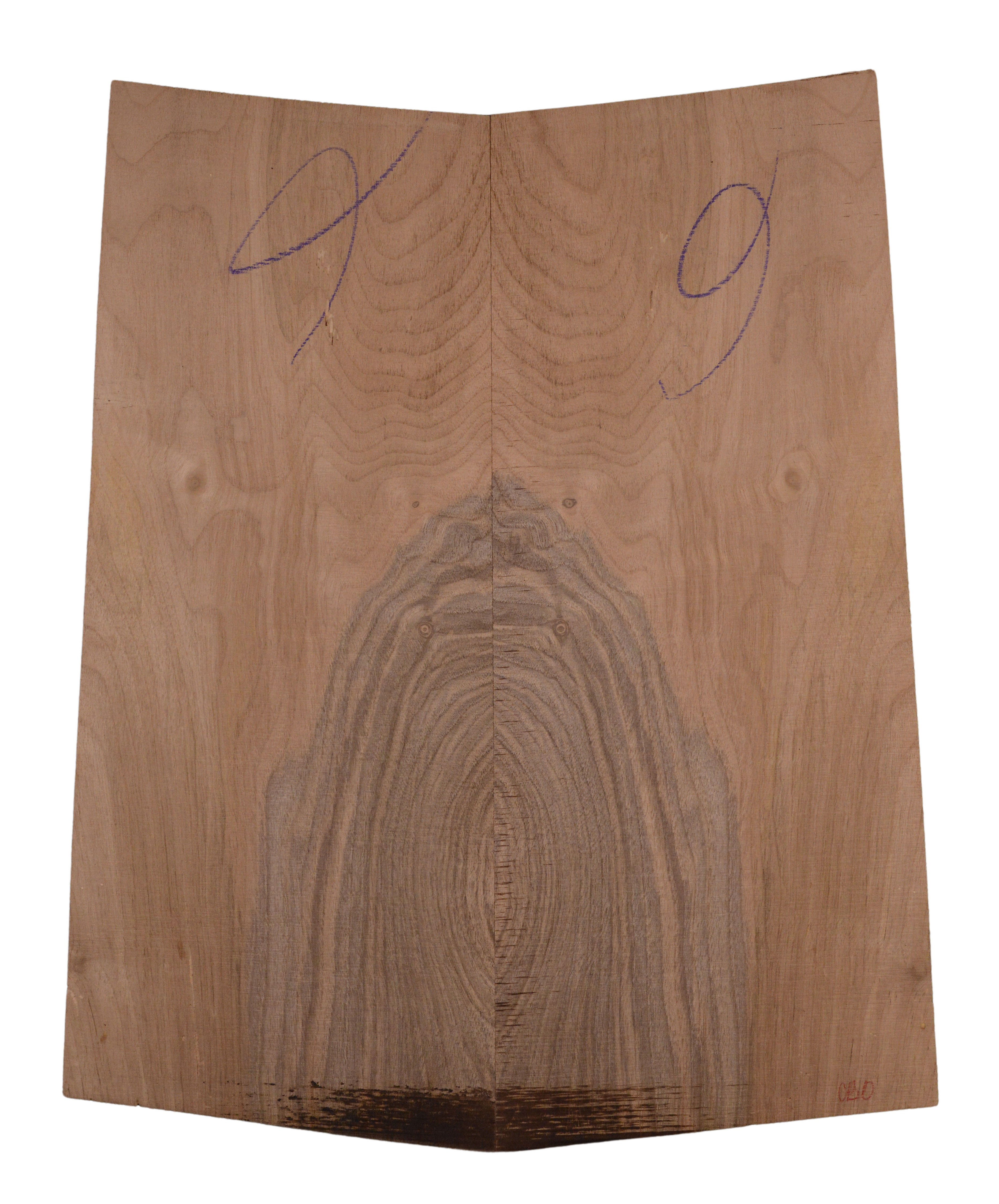 Walnut (European) GuitarBack2pcATC BLEURO1.G1.037