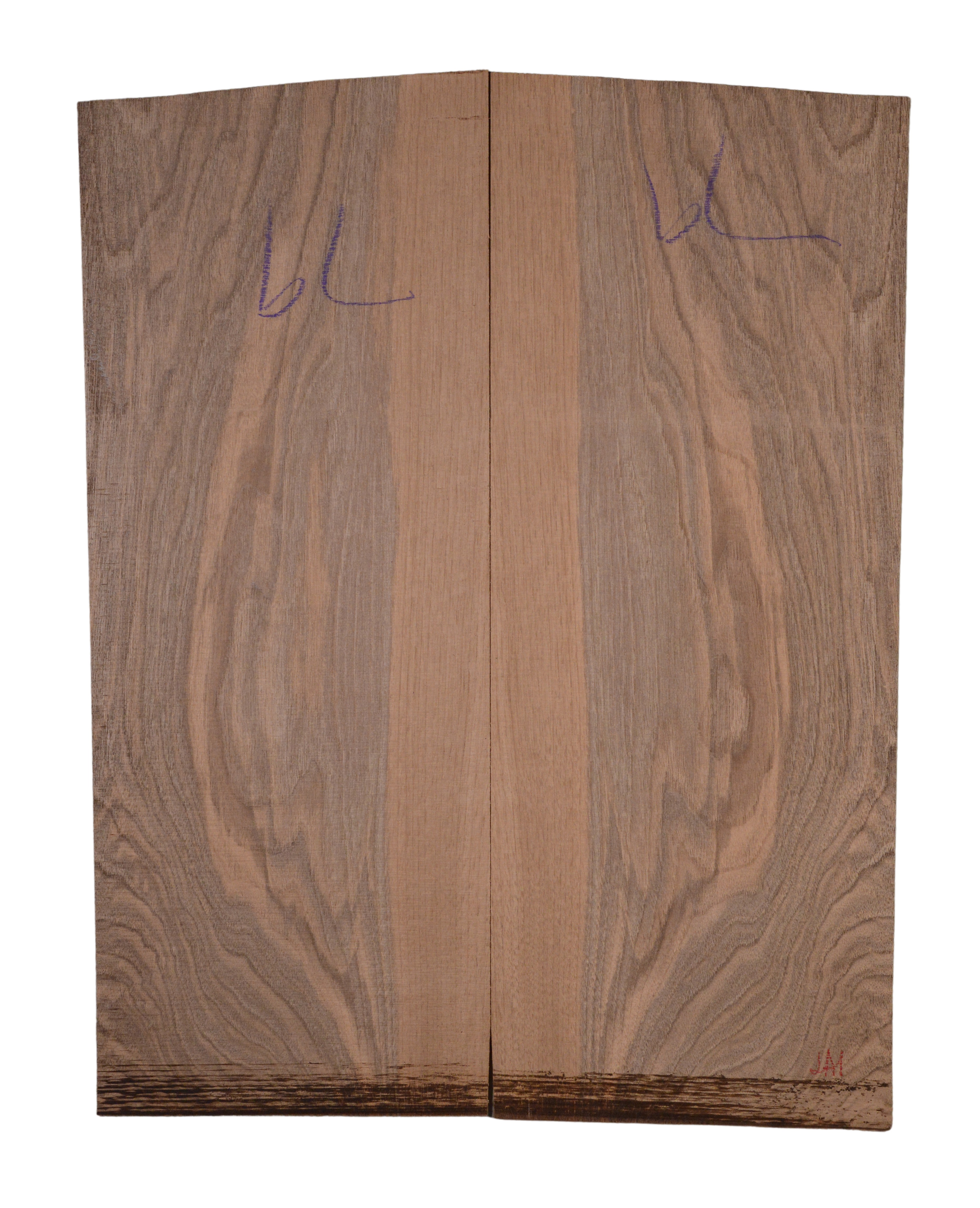 Walnut (European) GuitarBack2pcATC BLEURO1.G1.060