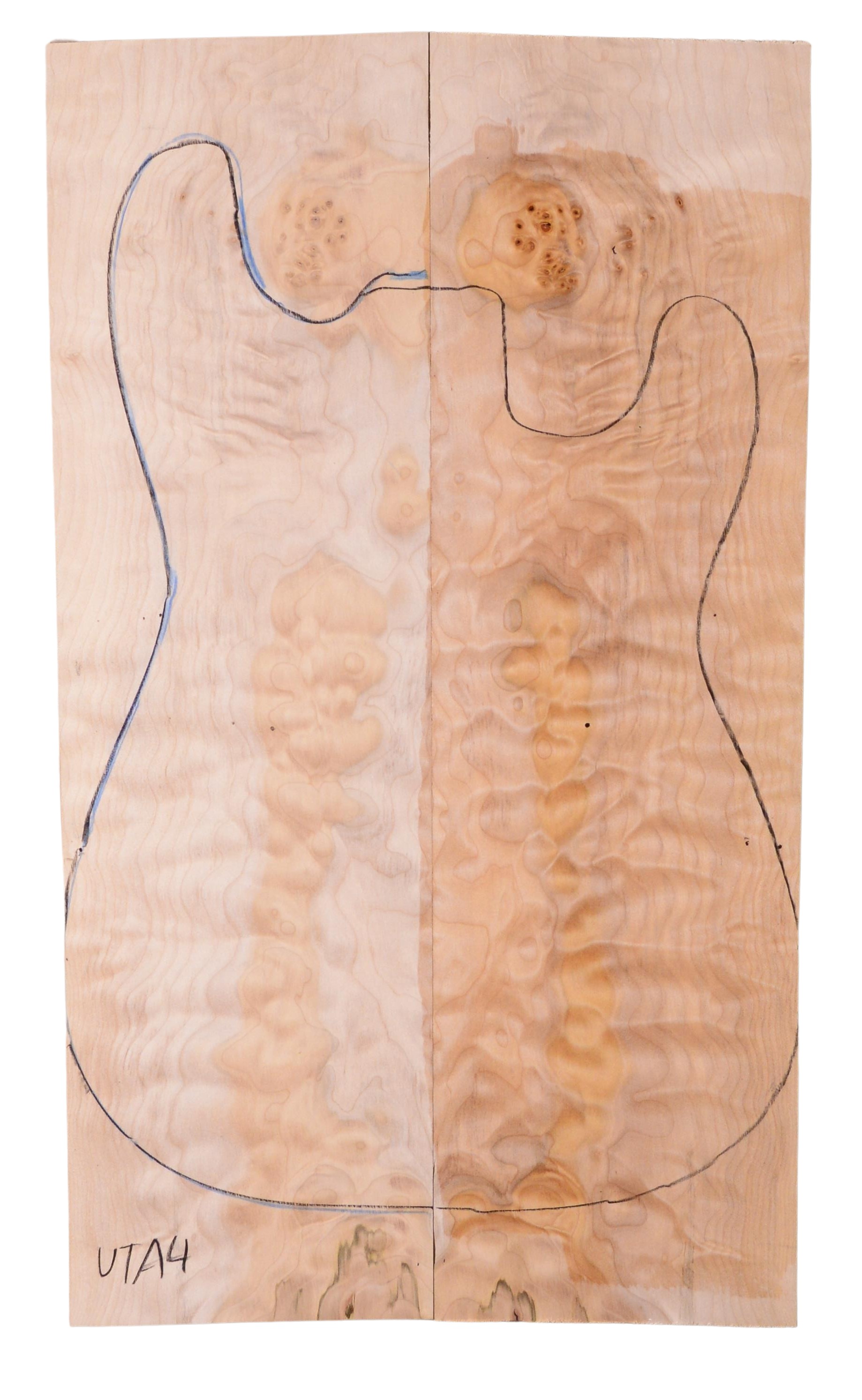 Maple (Big Leaf) GuitarSolidBodyTopATC C3370.G.093