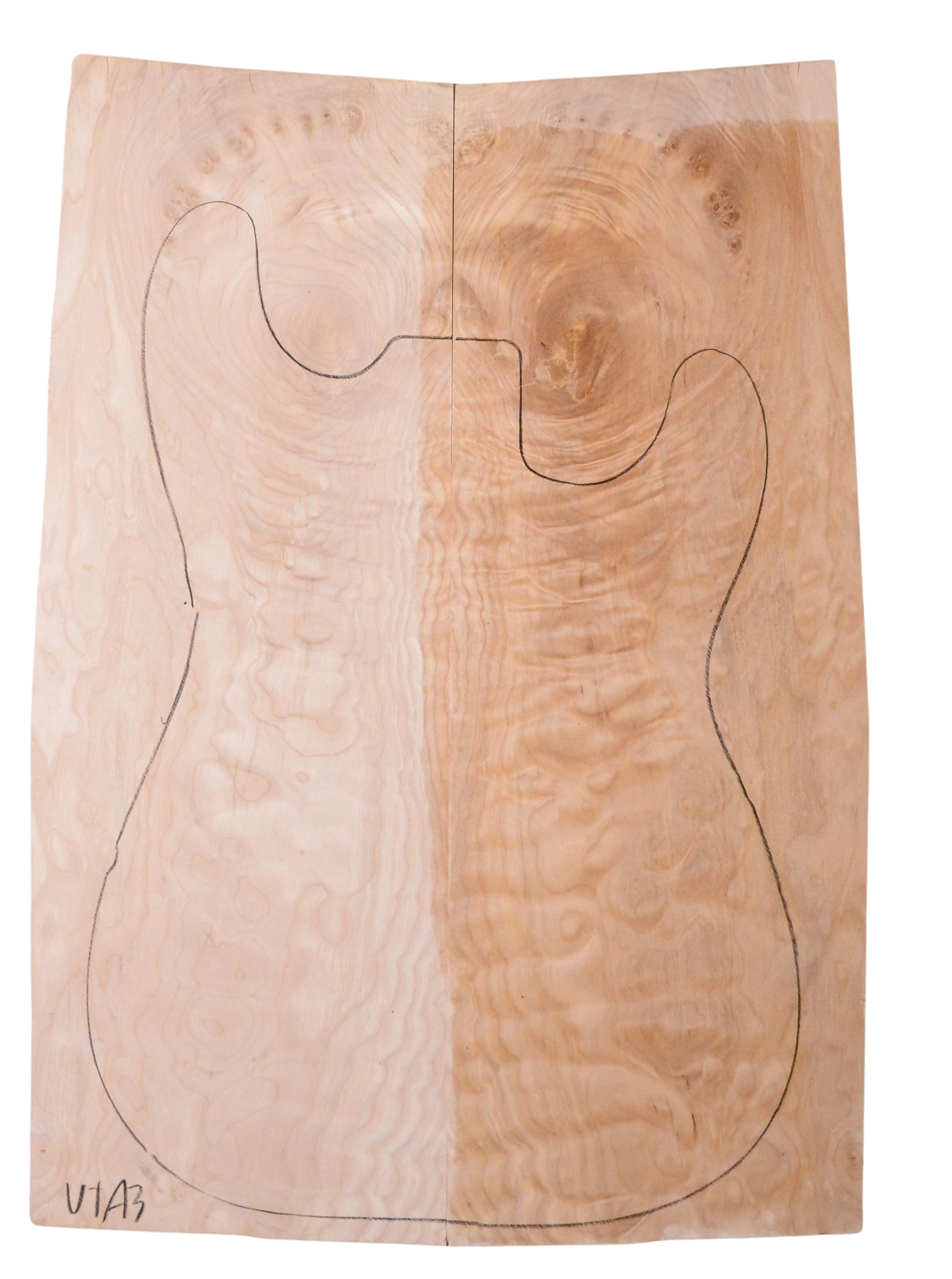 Maple (Big Leaf) GuitarSolidBodyTopATC C3370.G.095