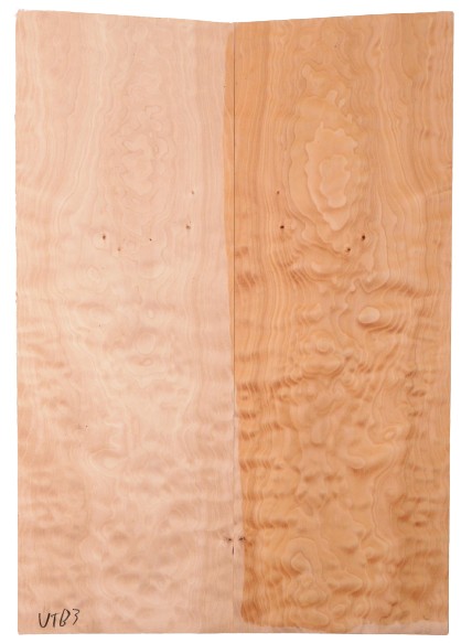 Maple (Big Leaf) GuitarSolidBodyTopATC C3370.G.112