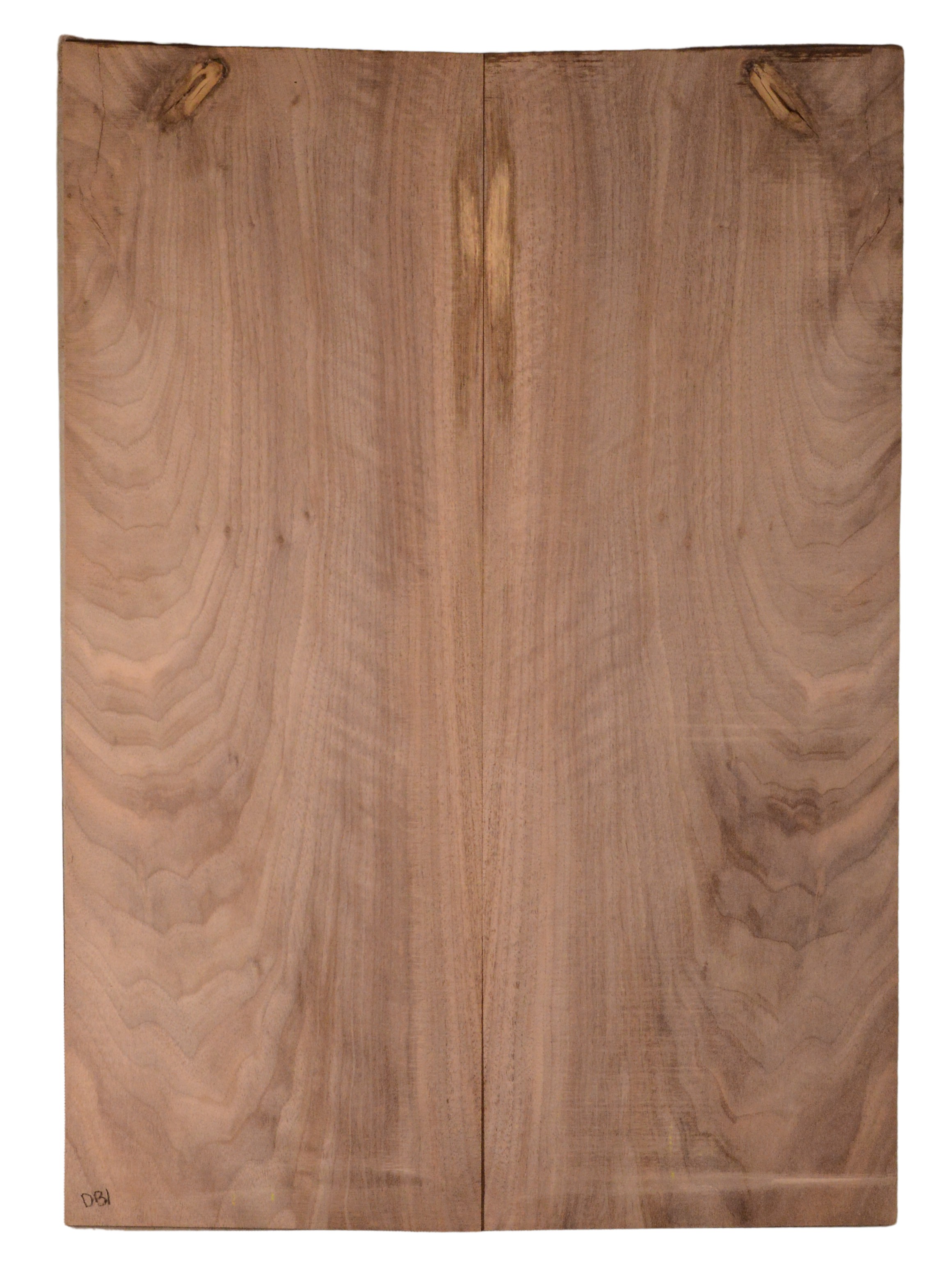 Walnut (English) GuitarBack2pcATC CHAMPTR.G.005