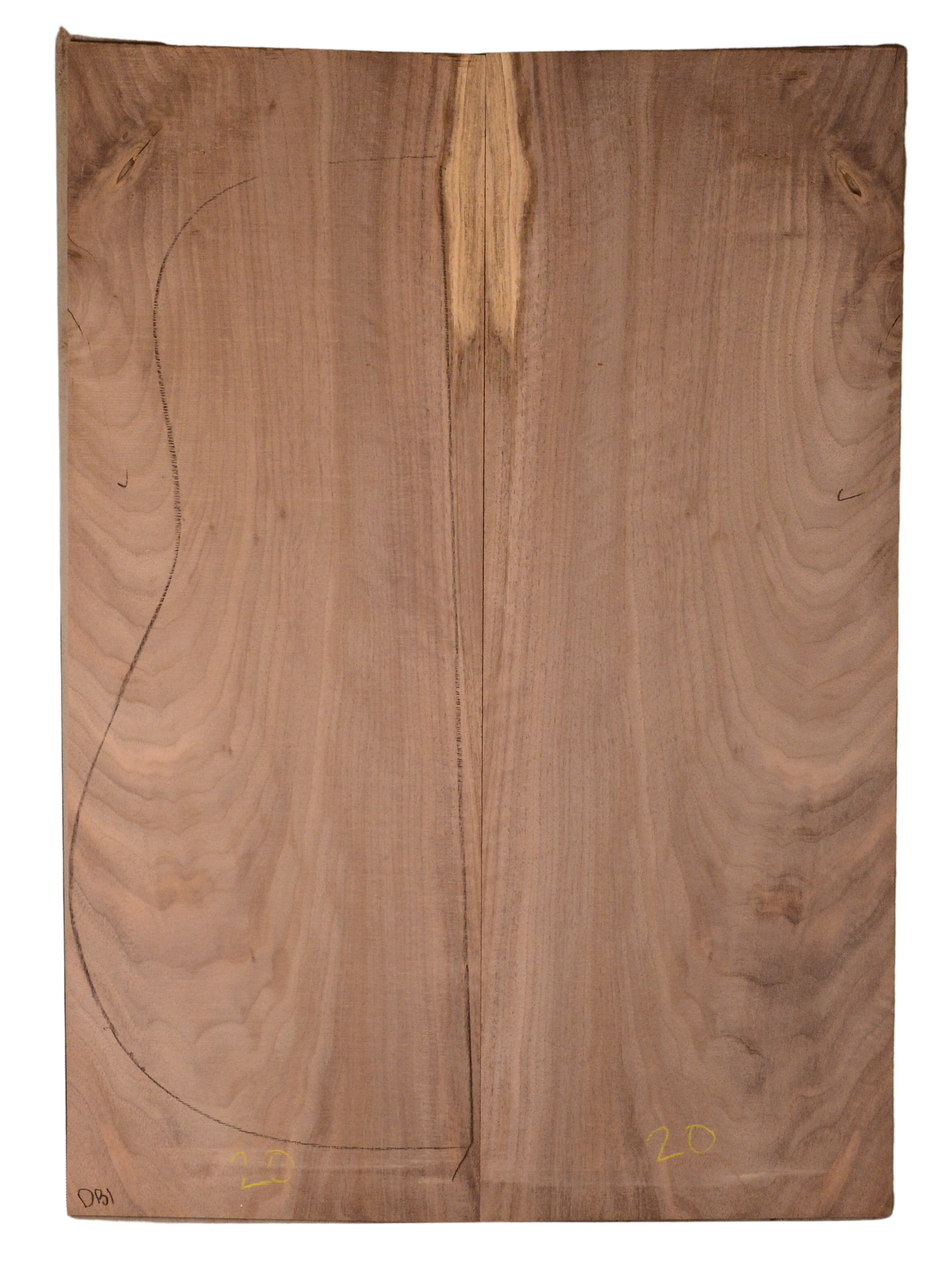 Walnut (English) GuitarBack2pcATC CHAMPTR.G.006