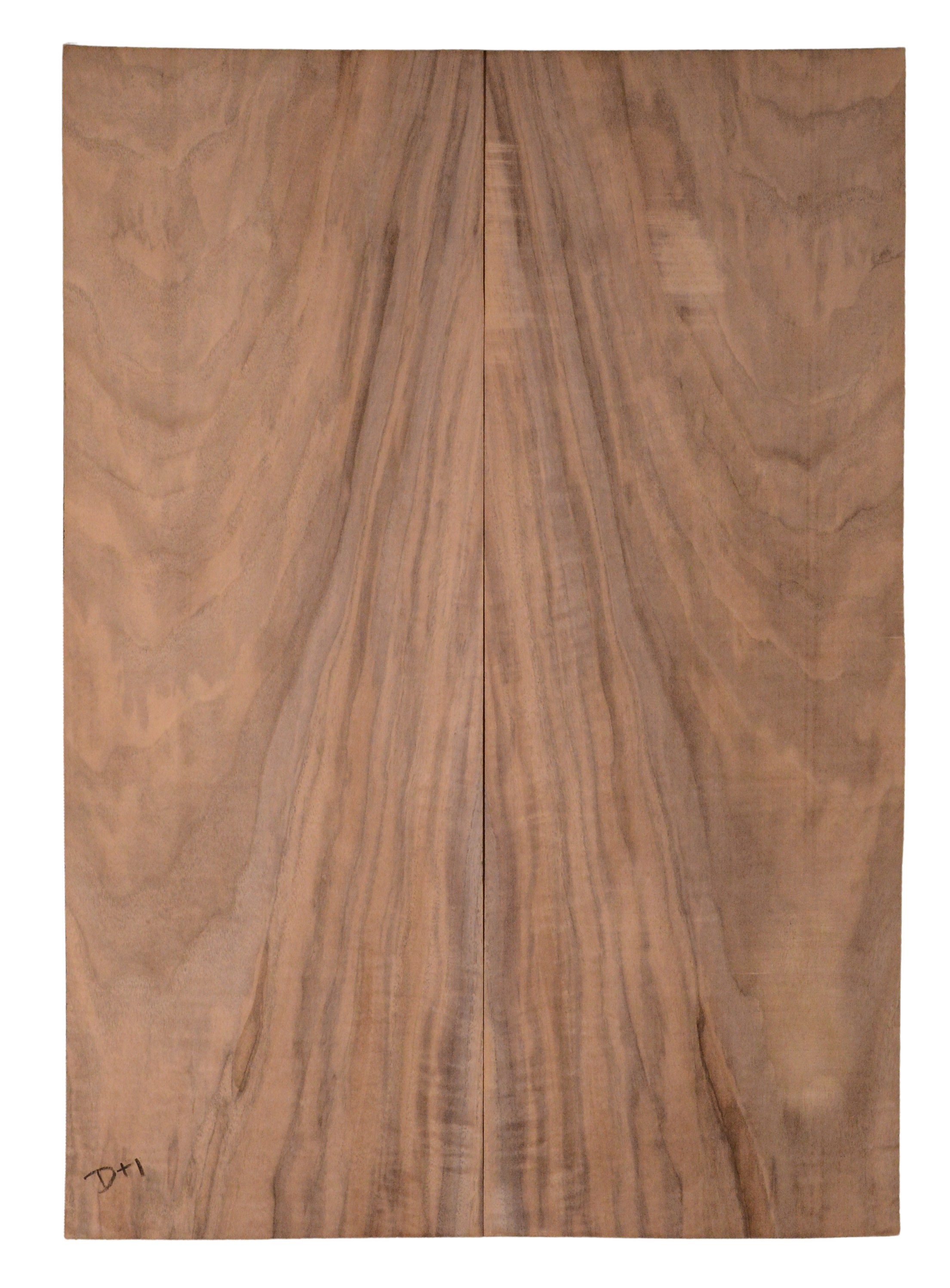 Walnut (English) GuitarBack2pcATC CHAMPTR.G.009