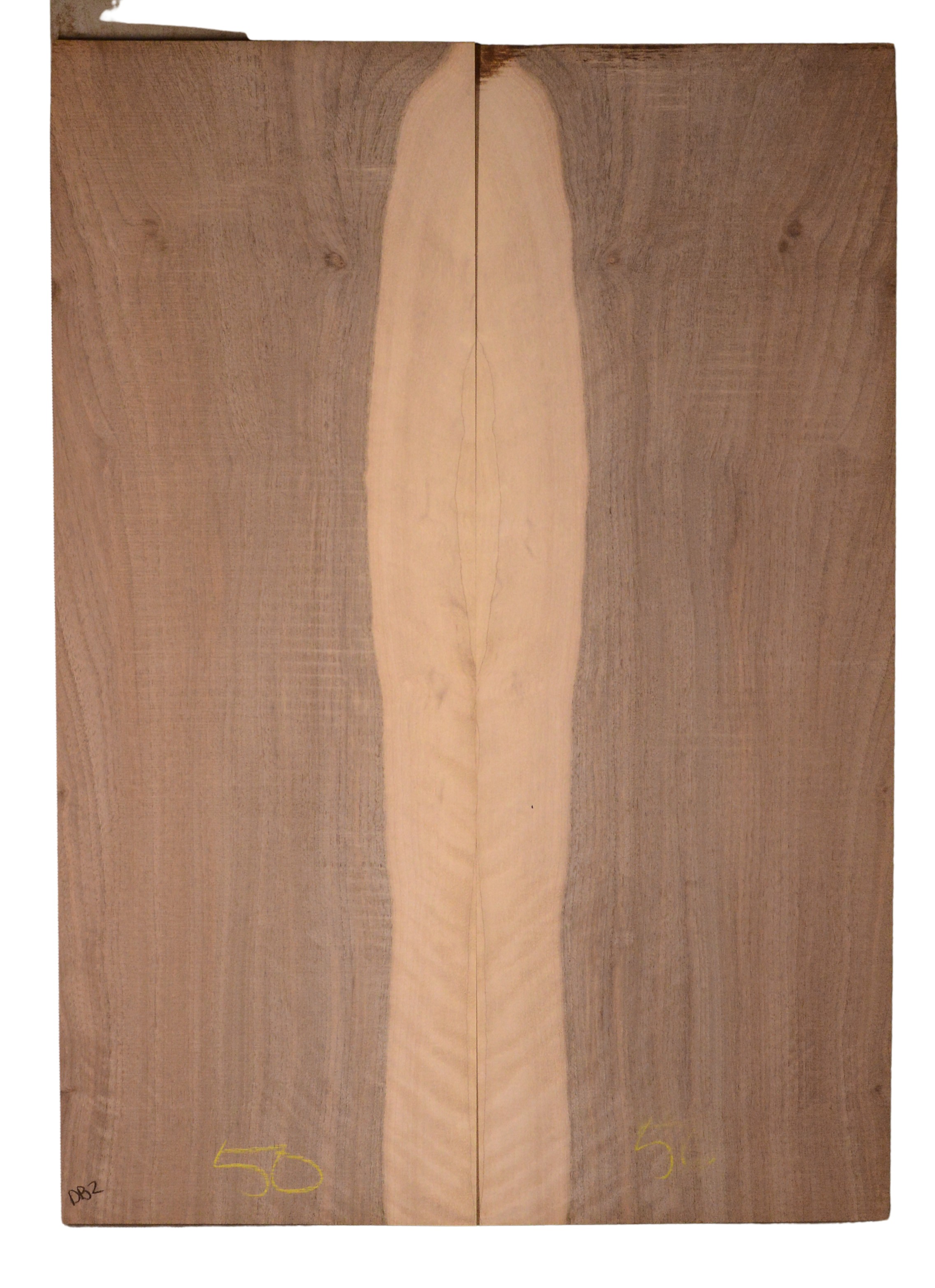 Walnut (English) GuitarBack2pcATC CHAMPTR.G.011