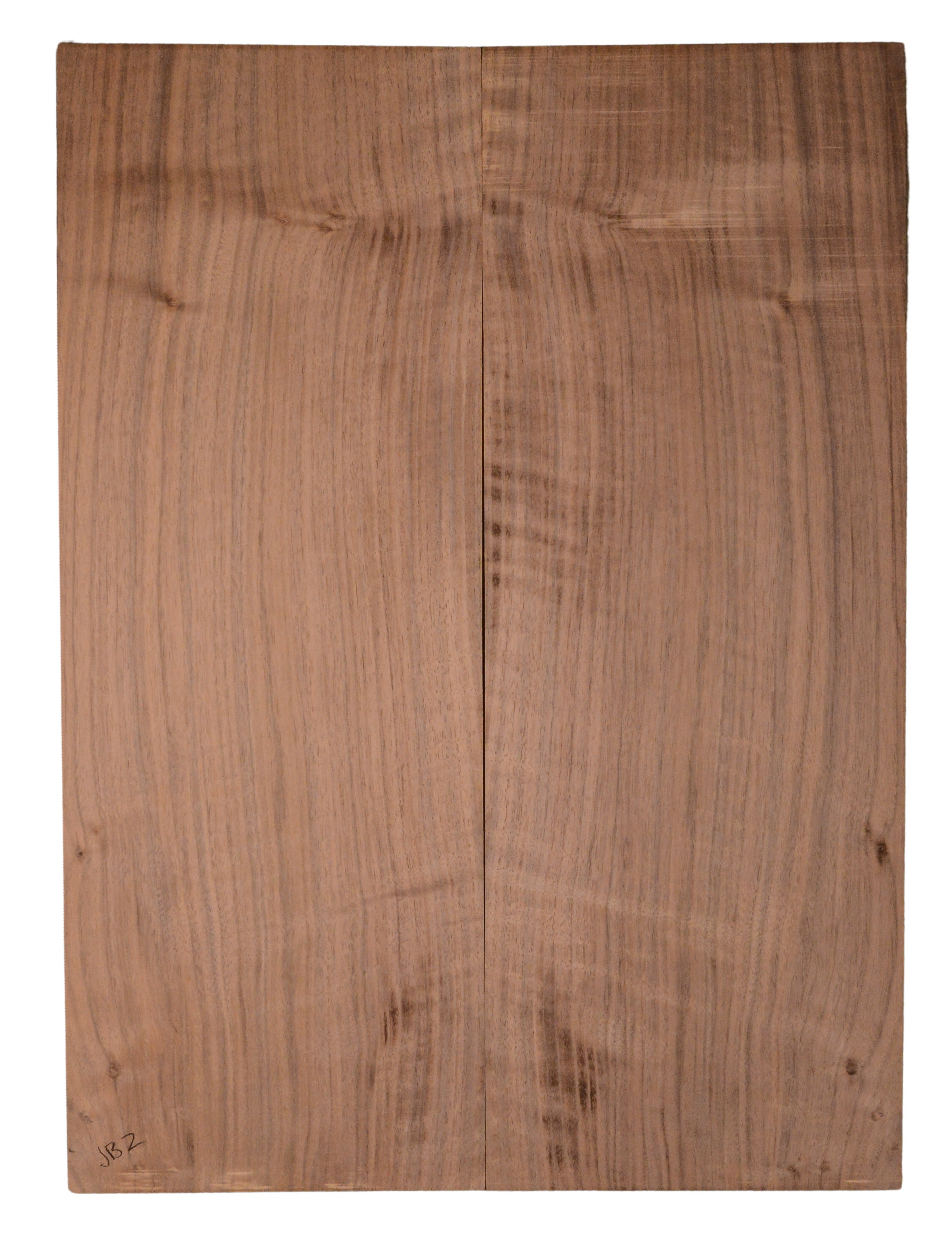 Walnut (English) GuitarBack2pcATC CHAMPTR.G.016