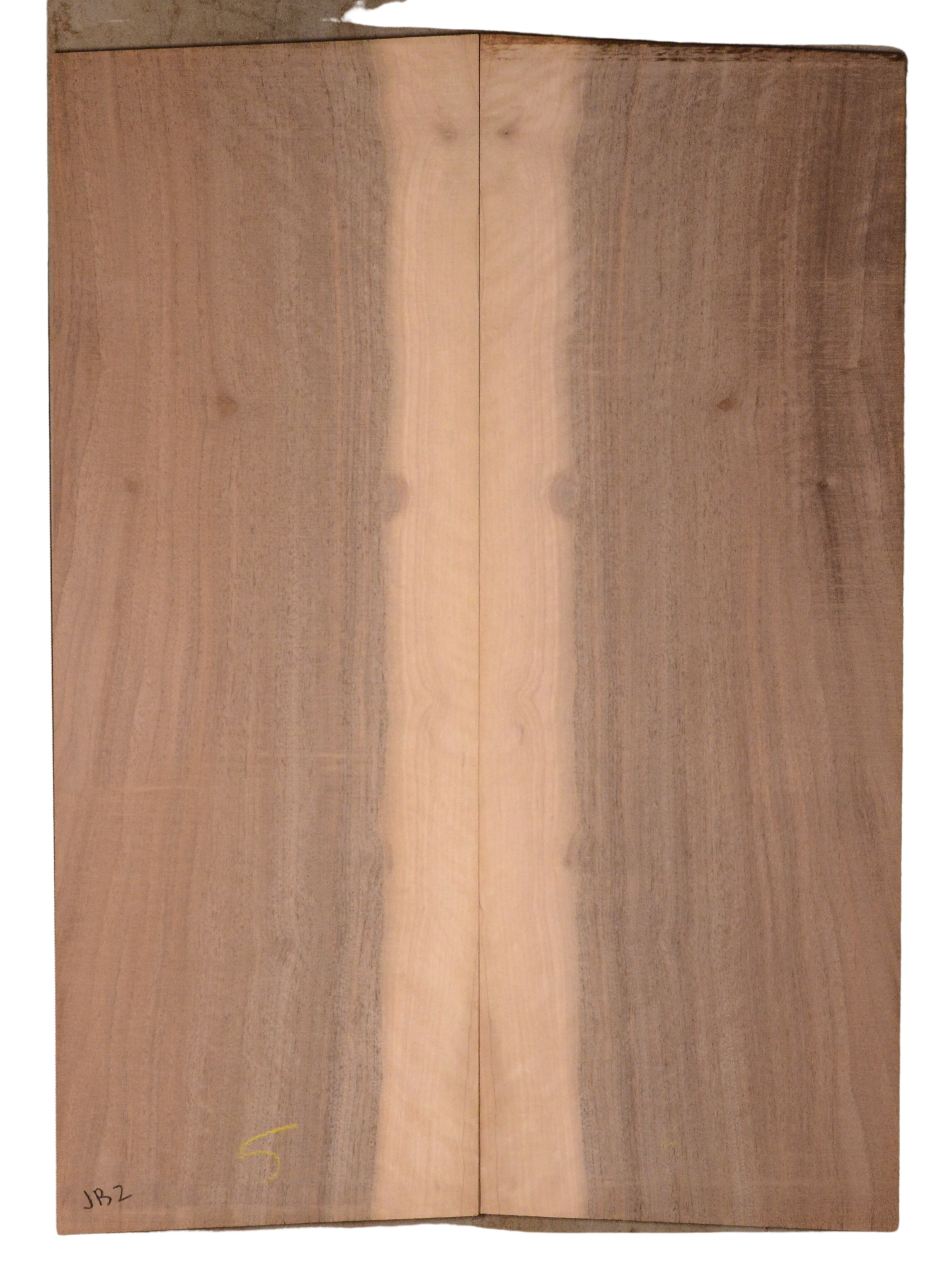 Walnut (English) GuitarBack2pcATC CHAMPTR.G.018