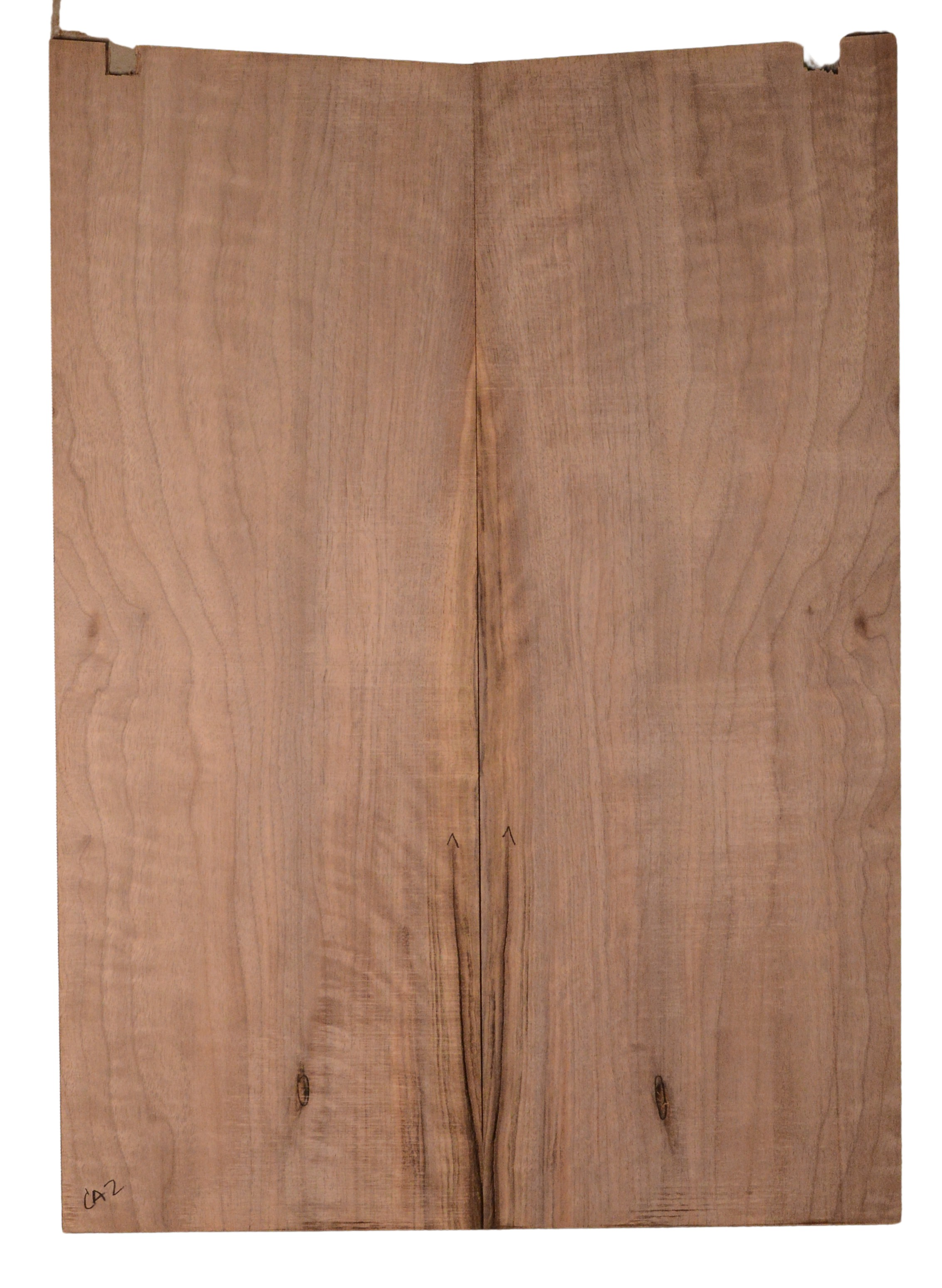 Walnut (English) GuitarBack2pcATC CHAMPTR.G.019