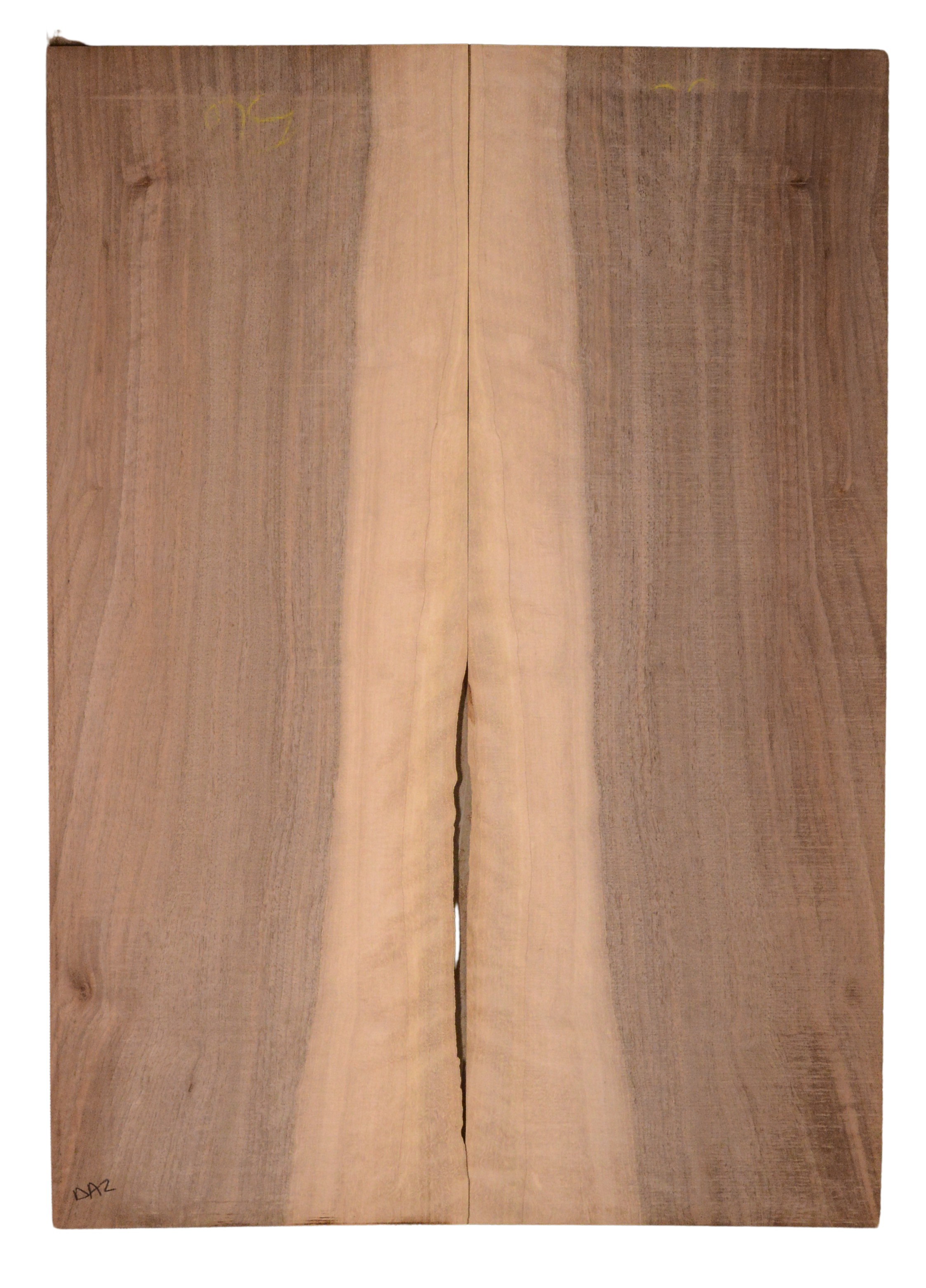 Walnut (English) GuitarBack2pcATC CHAMPTR.G.020