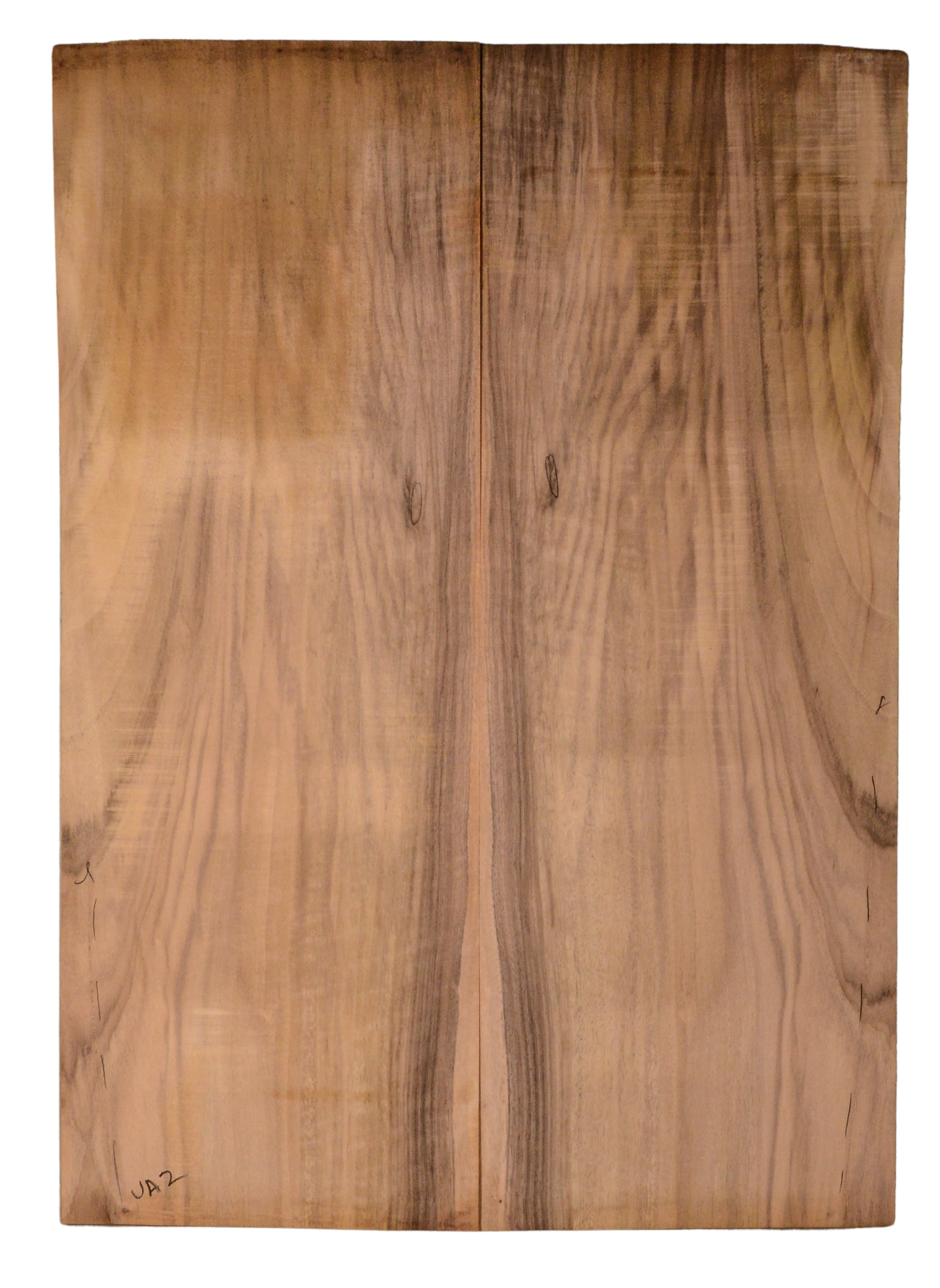 Walnut (English) GuitarBack2pcATC CHAMPTR.G.024