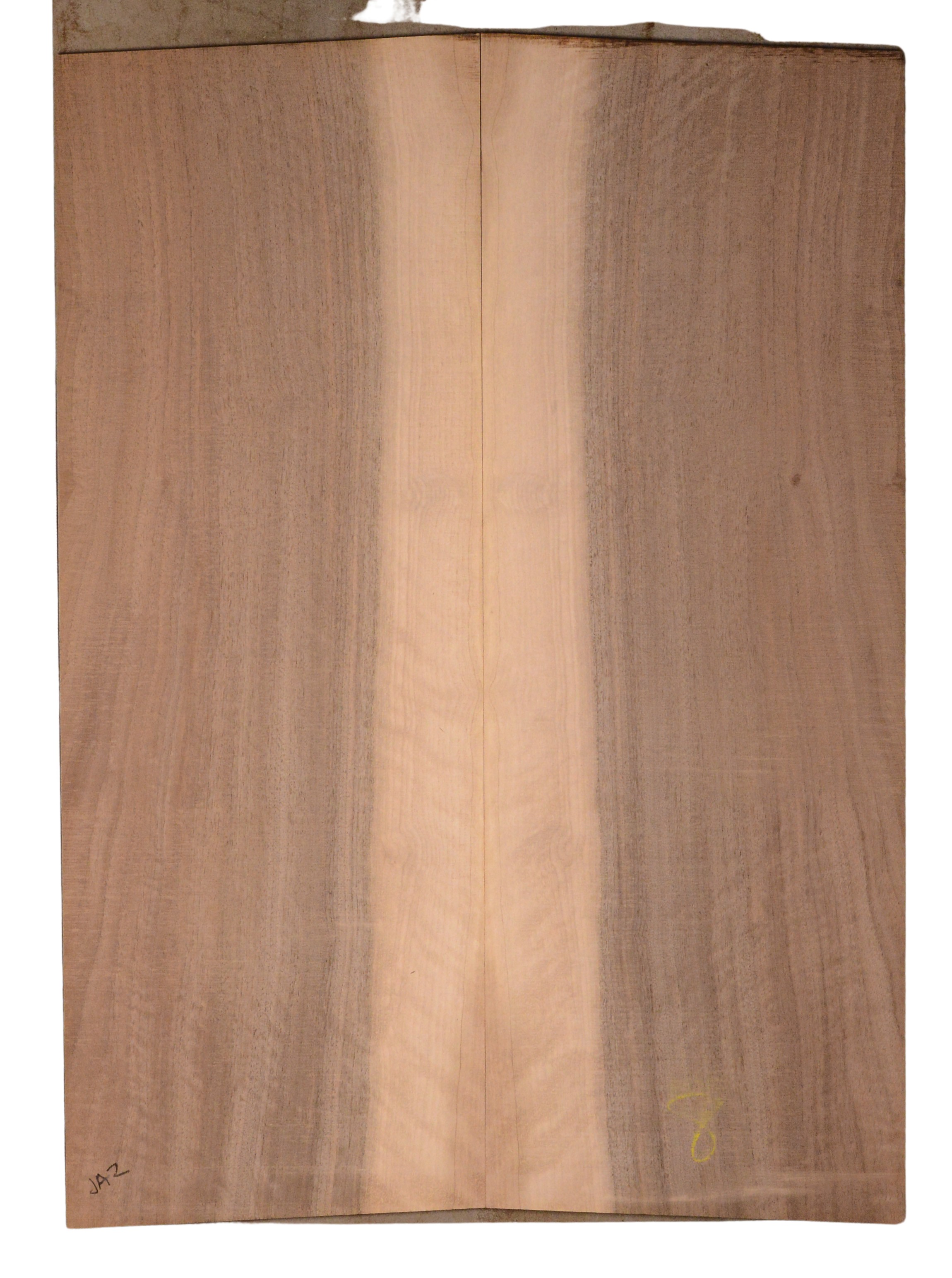 Walnut (English) GuitarBack2pcATC CHAMPTR.G.026