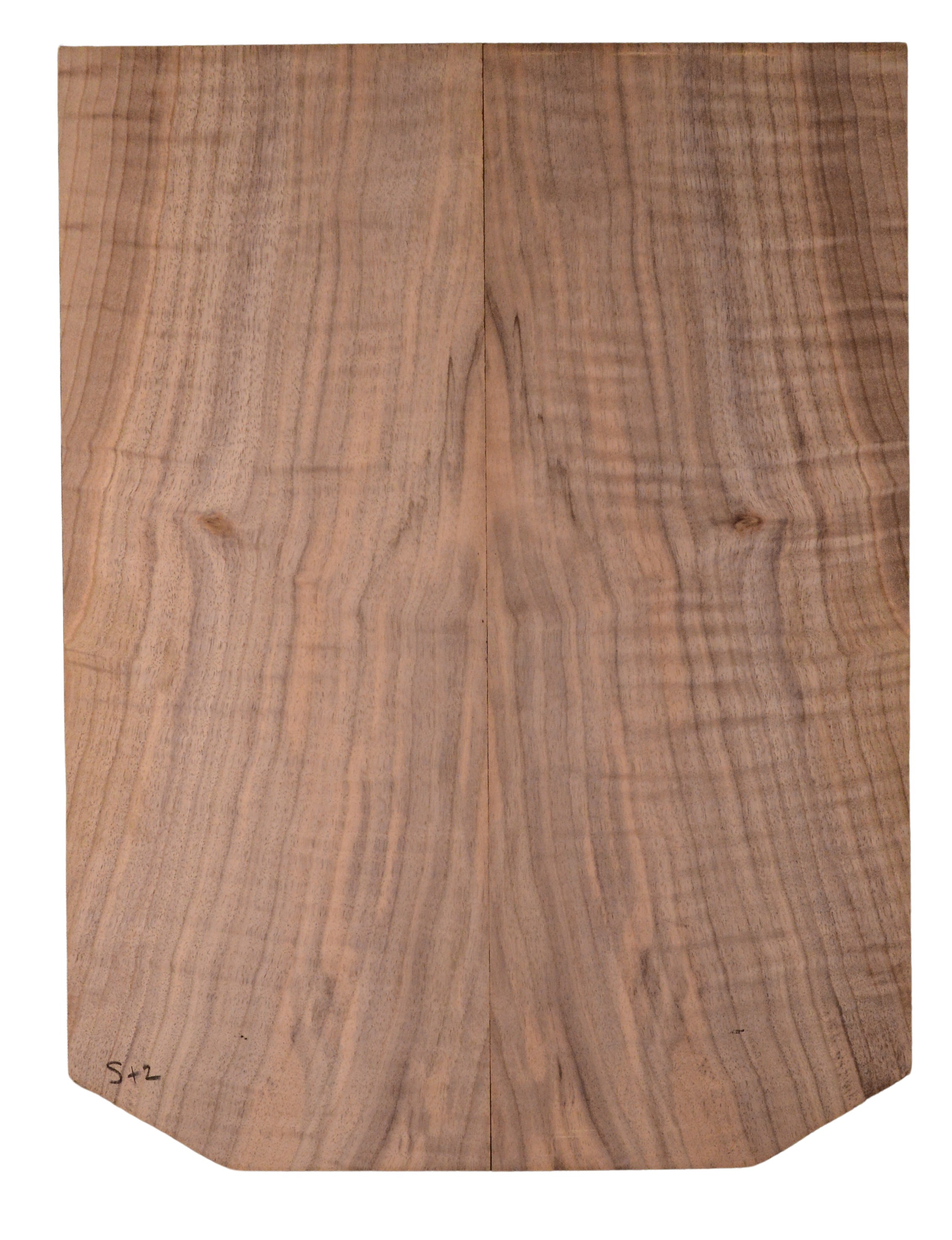 Walnut (English) GuitarBack2pcATC CHAMPTR.G.028