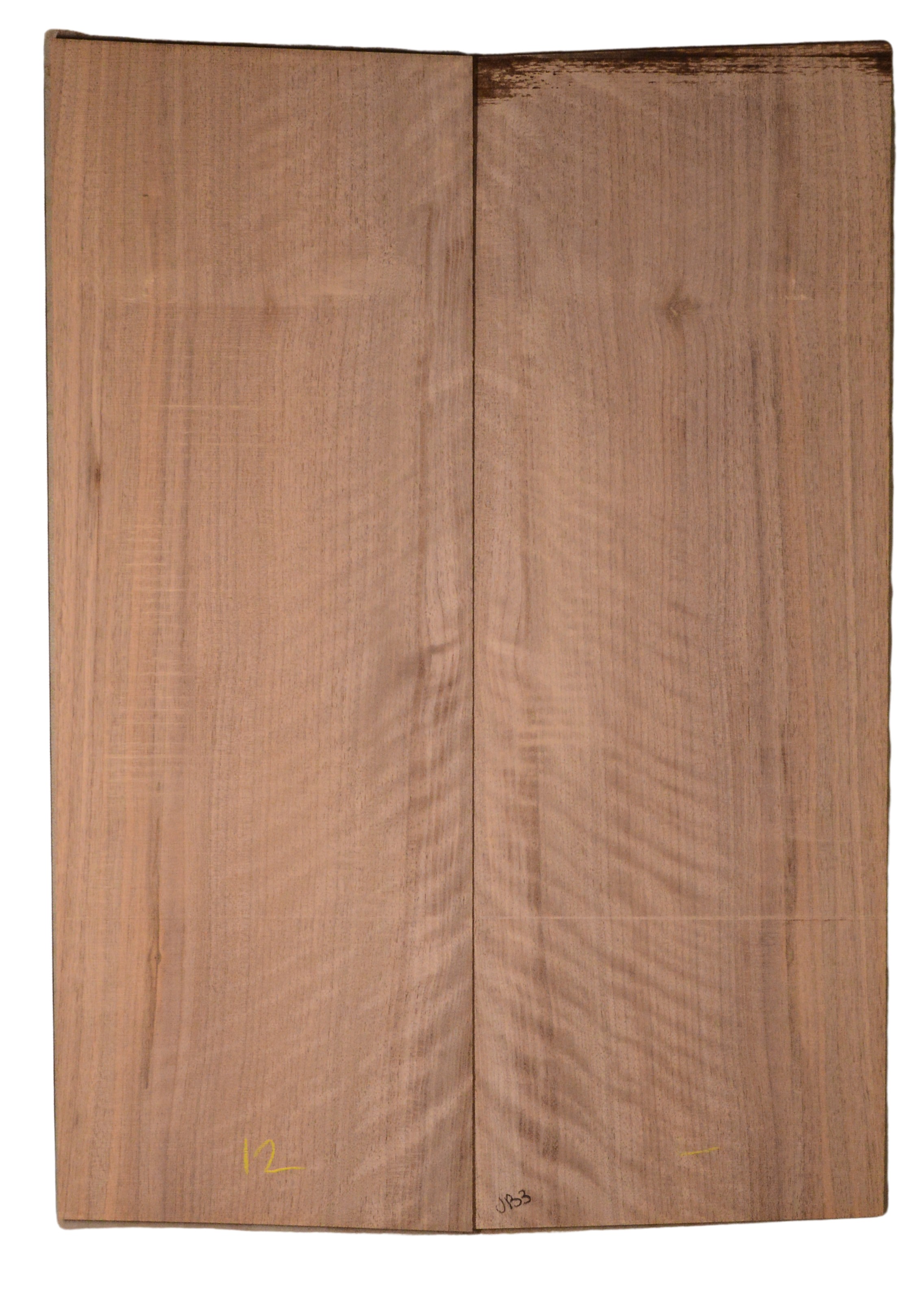 Walnut (English) GuitarBack2pcATC CHAMPTR.G.041