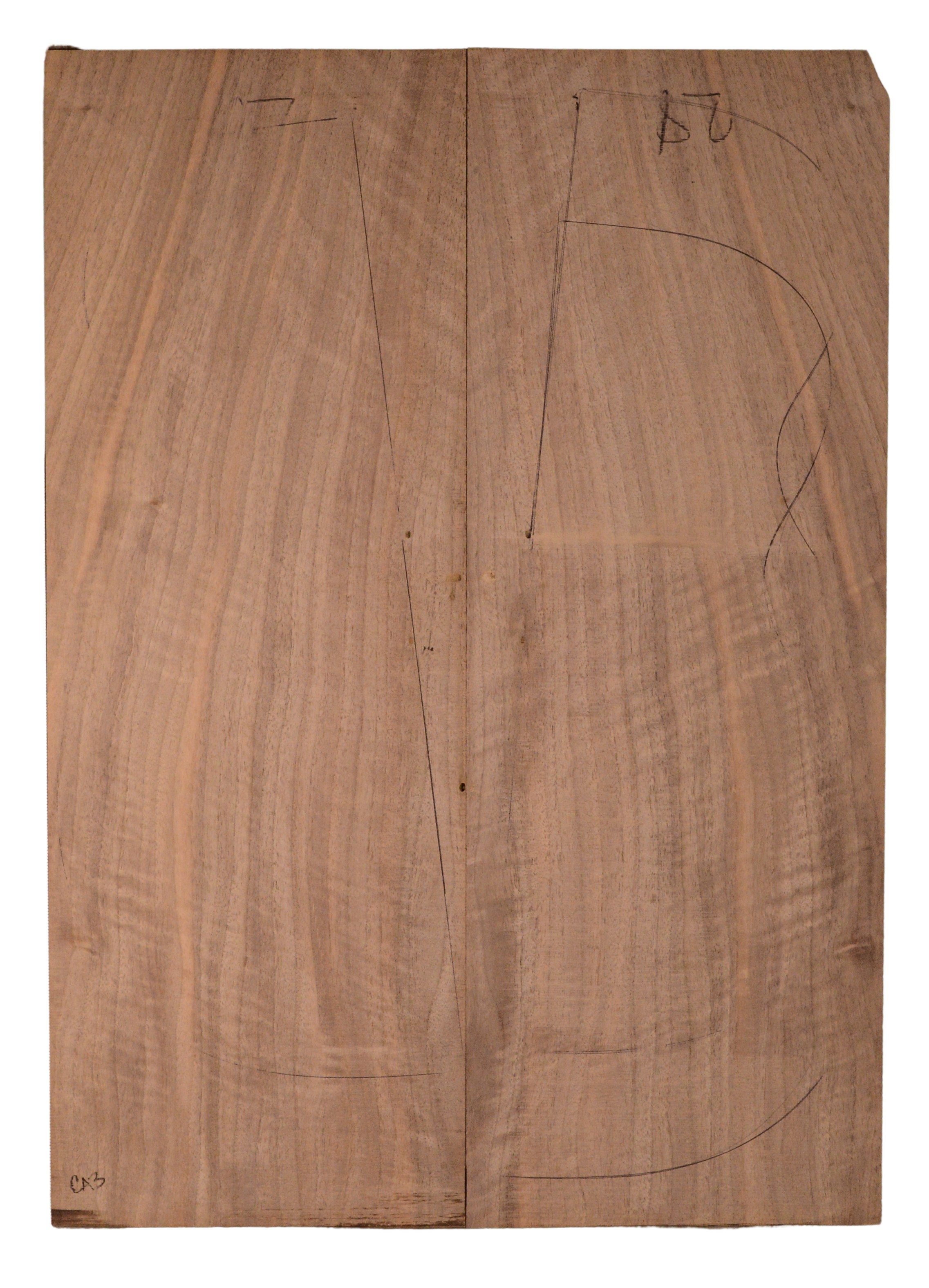 Walnut (English) GuitarBack2pcATC CHAMPTR.G.044