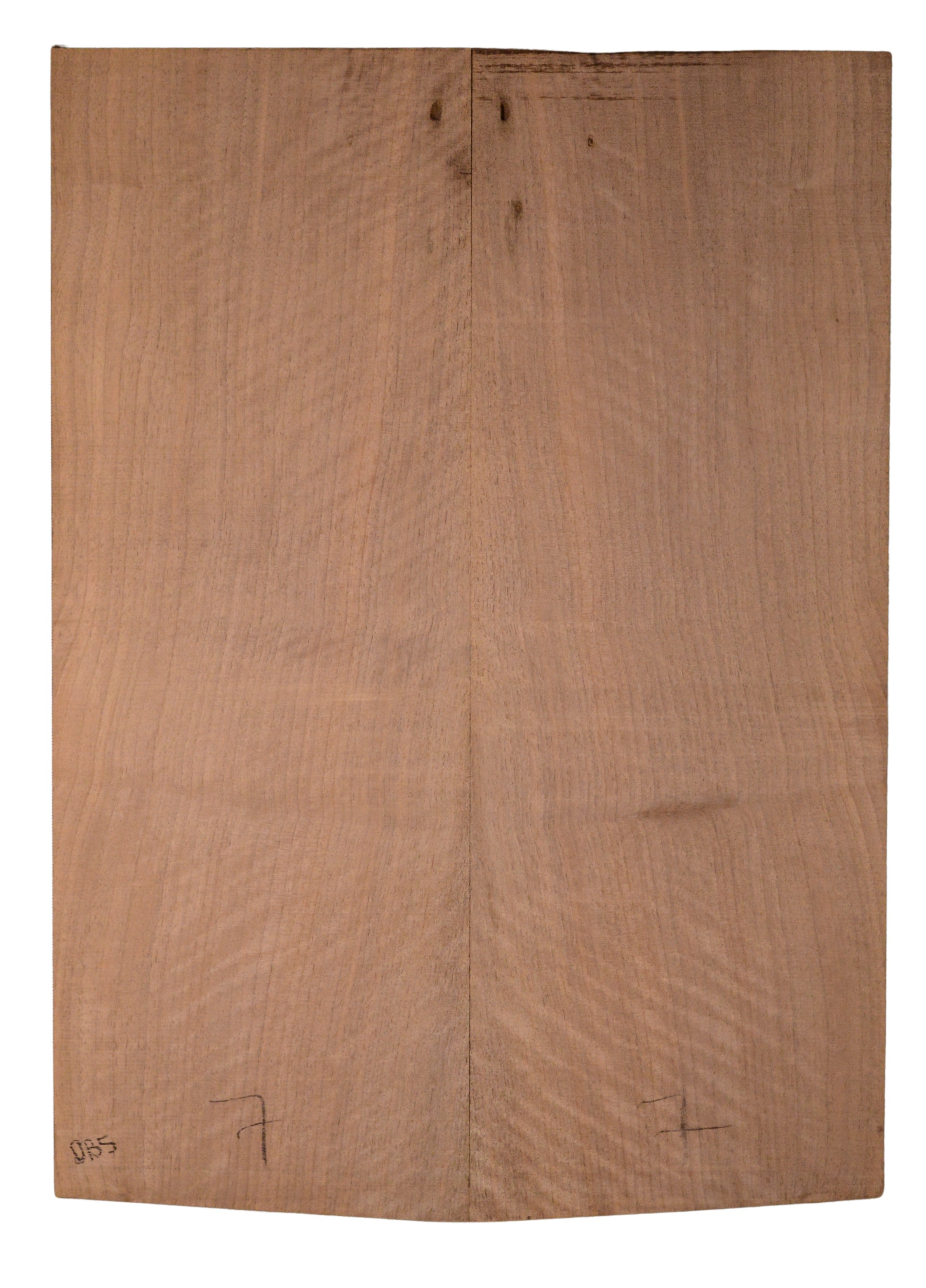 Walnut (English) GuitarBack2pcATC CHAMPTR.G.055