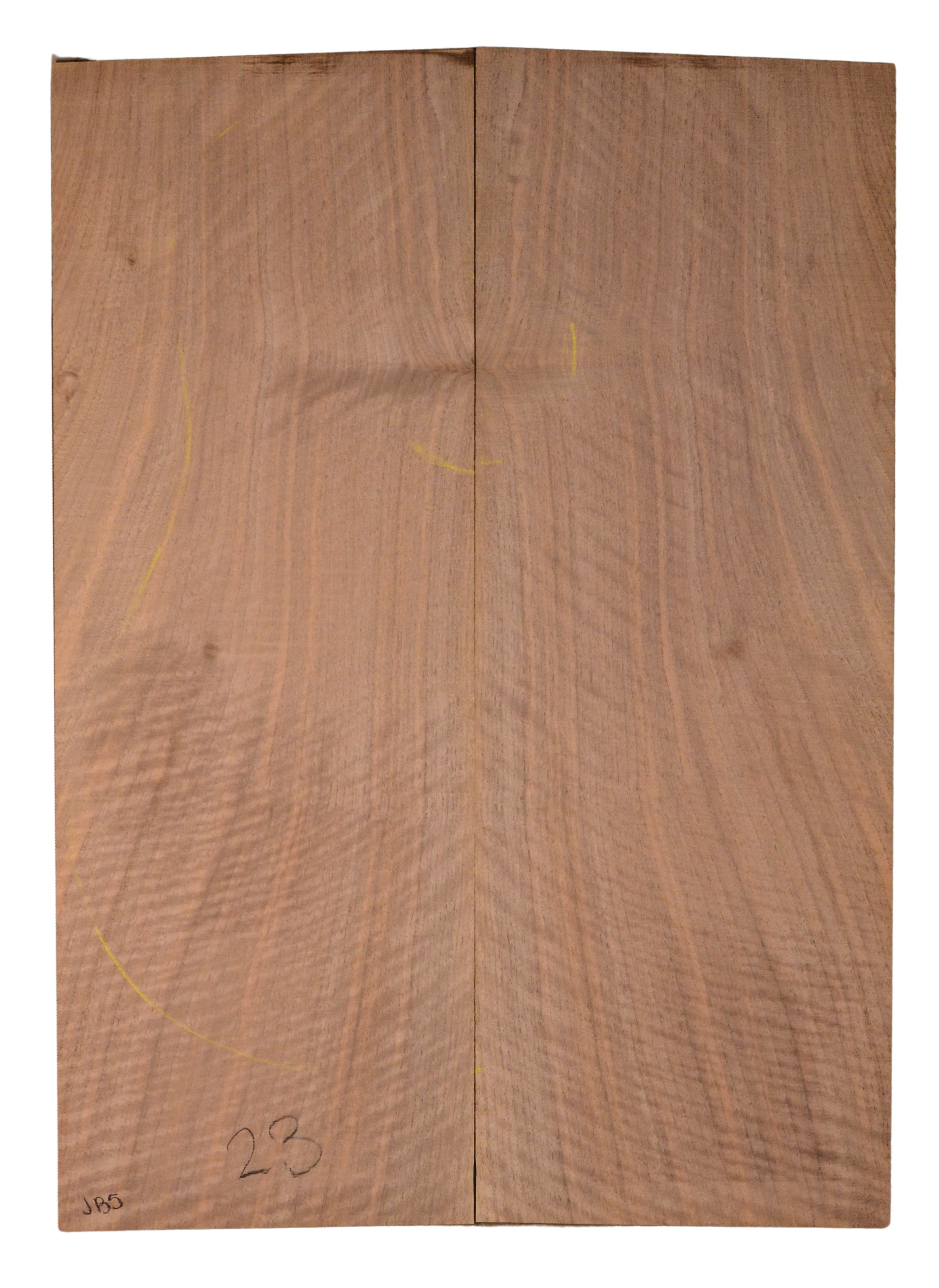 Walnut (English) GuitarBack2pcATC CHAMPTR.G.056