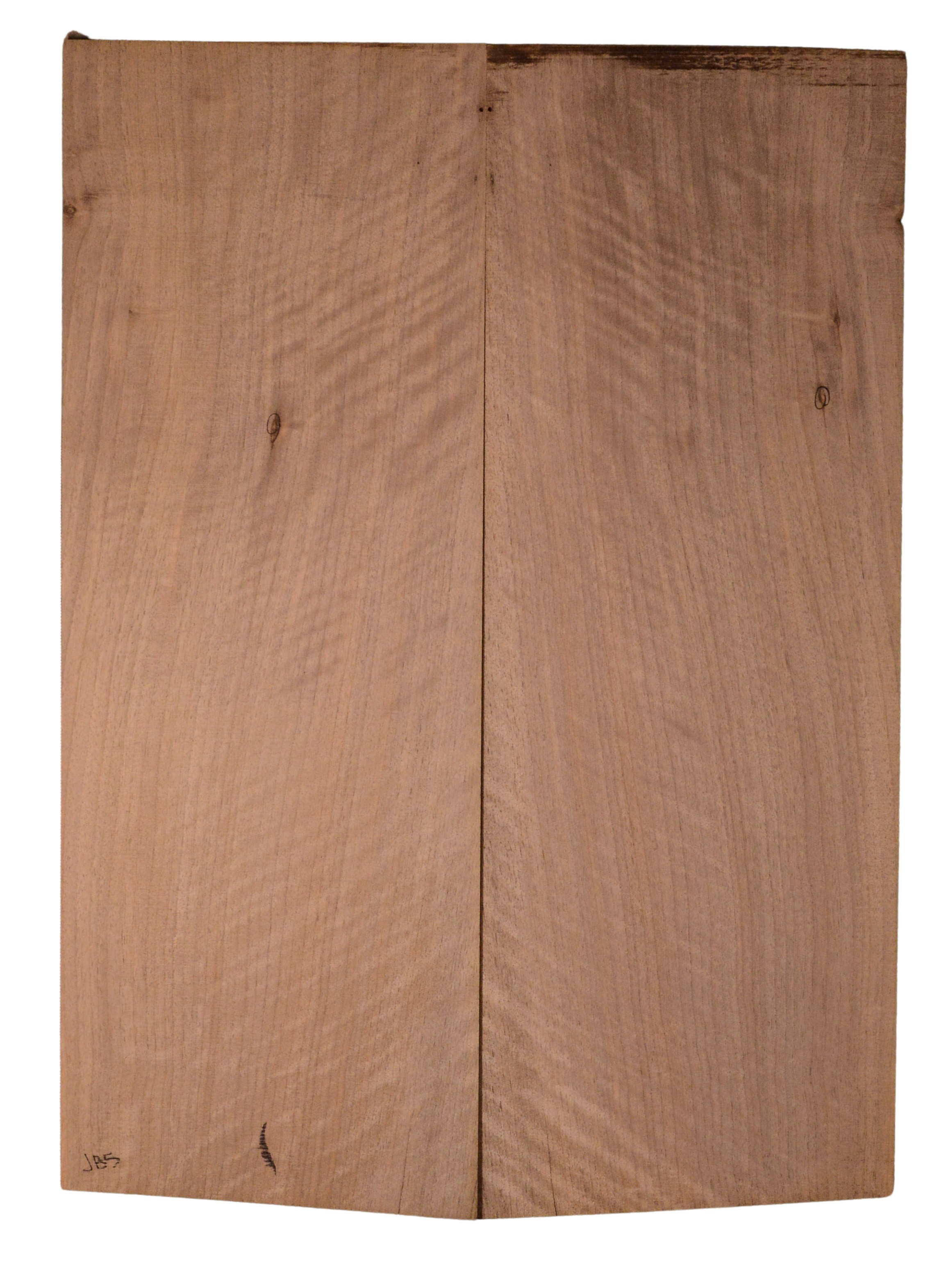 Walnut (English) GuitarBack2pcATC CHAMPTR.G.057