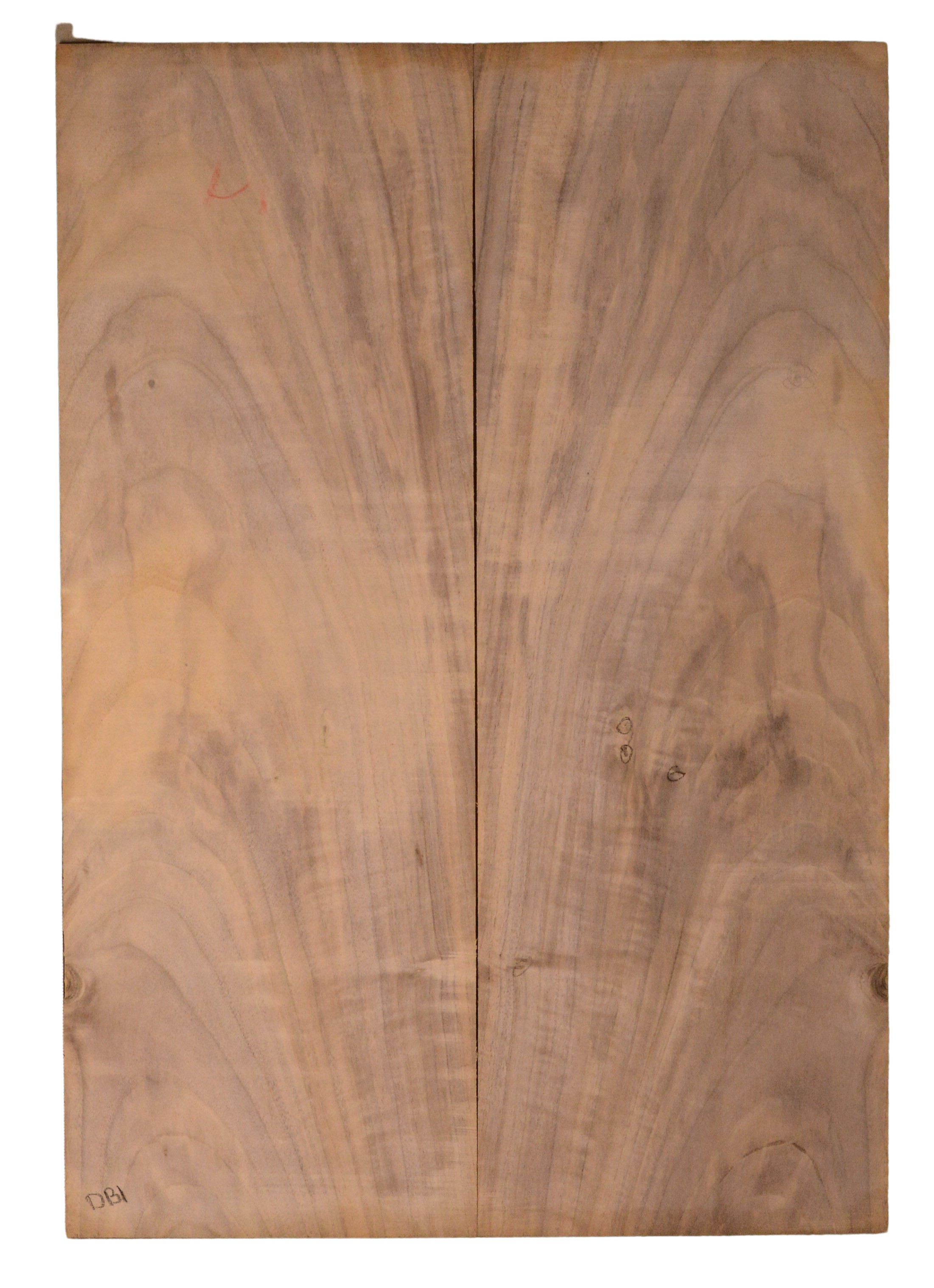 Walnut (English) GuitarBack2pcATC CHAMPTR.G.086