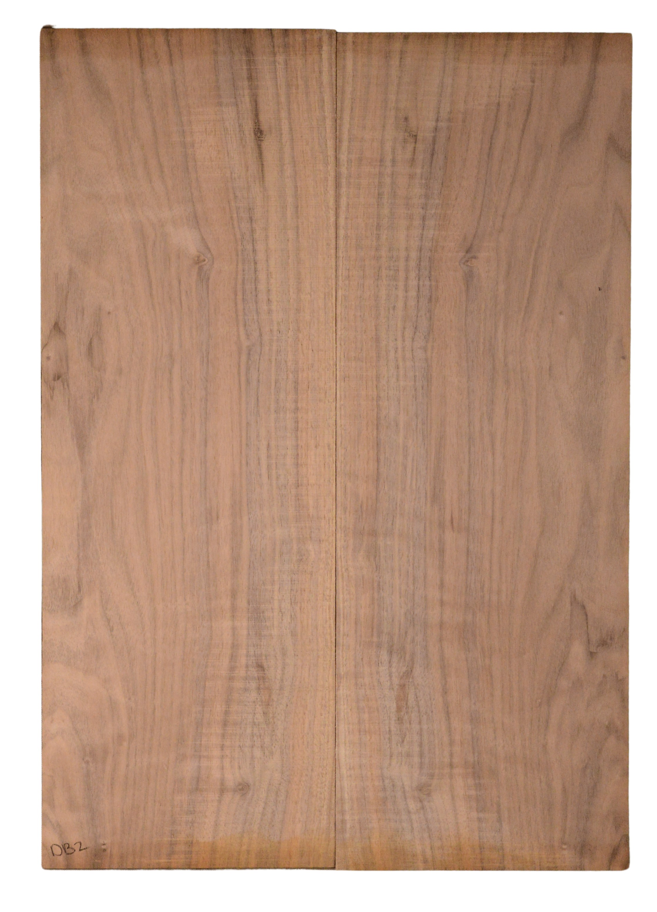 Walnut (English) GuitarBack2pcATC CHAMPTR.G.088