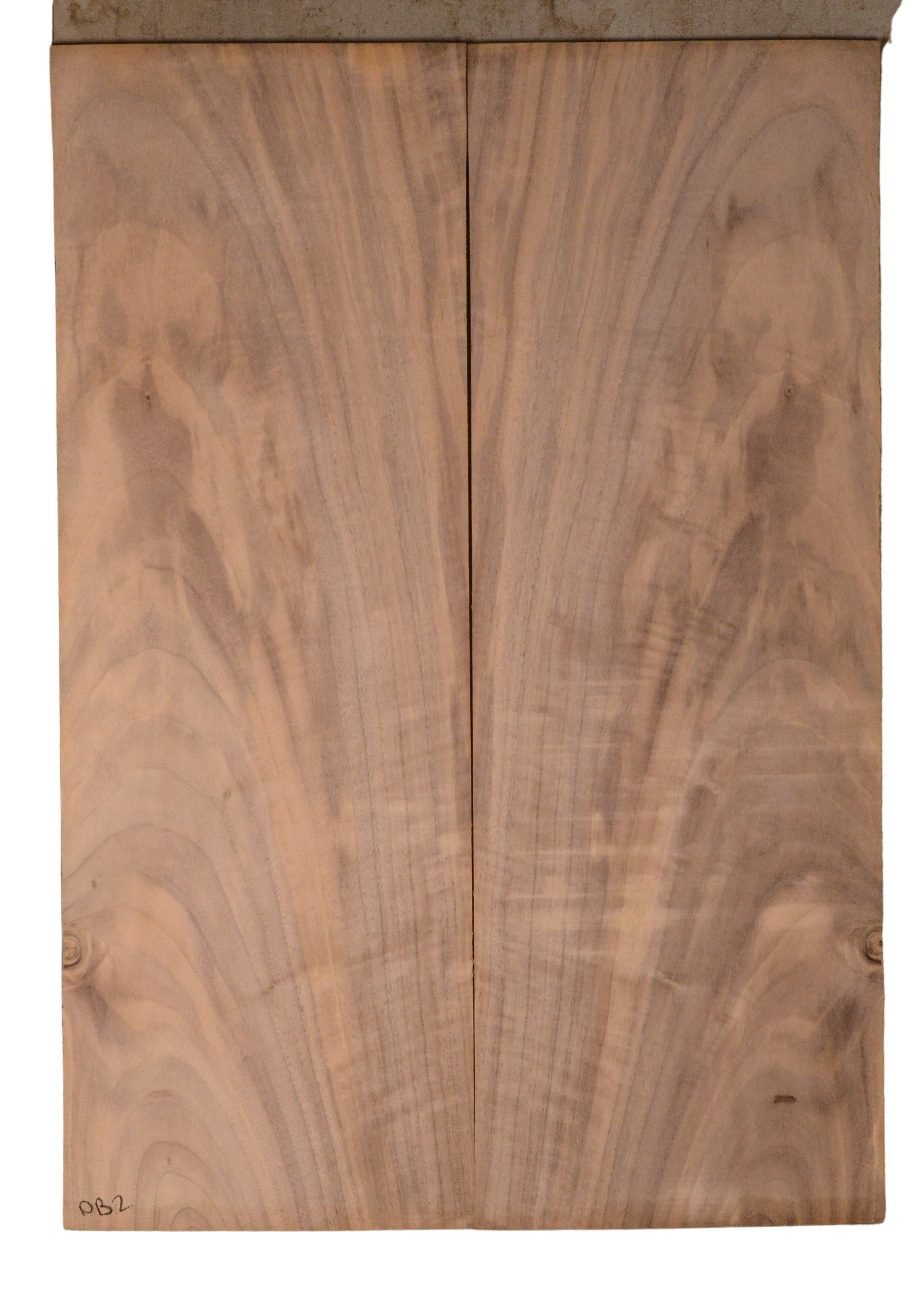 Walnut (English) GuitarBack2pcATC CHAMPTR.G.089