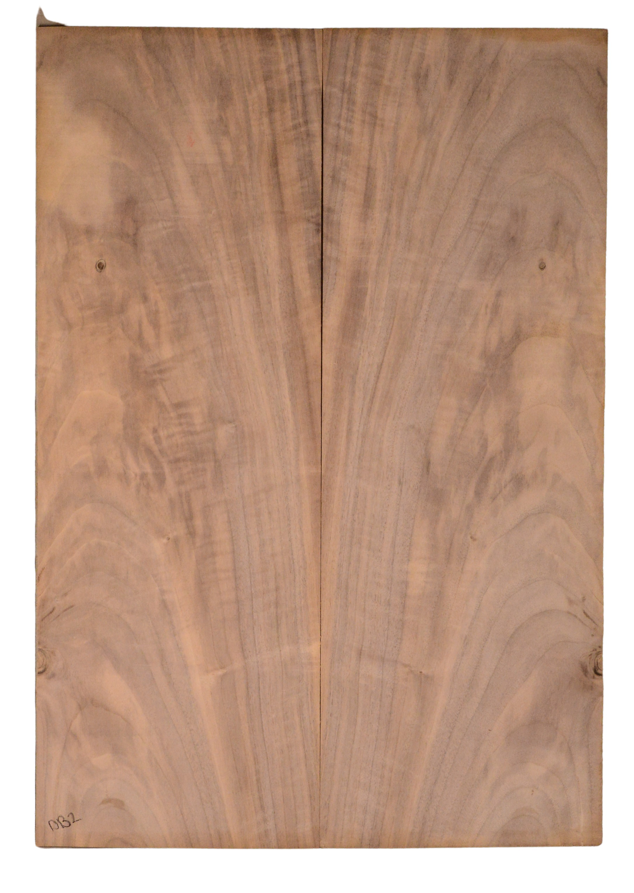 Walnut (English) GuitarBack2pcATC CHAMPTR.G.090