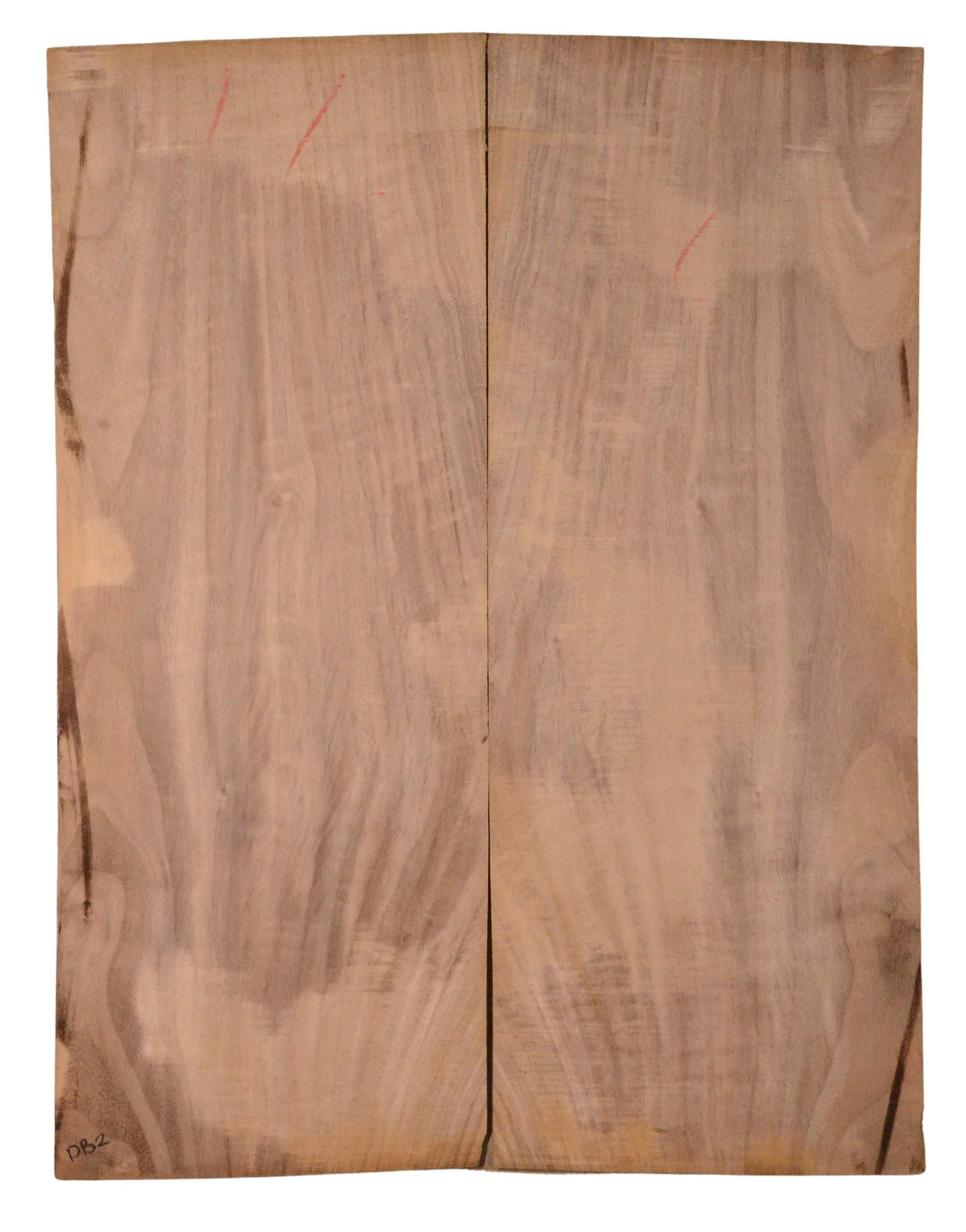 Walnut (English) GuitarBack2pcATC CHAMPTR.G.091