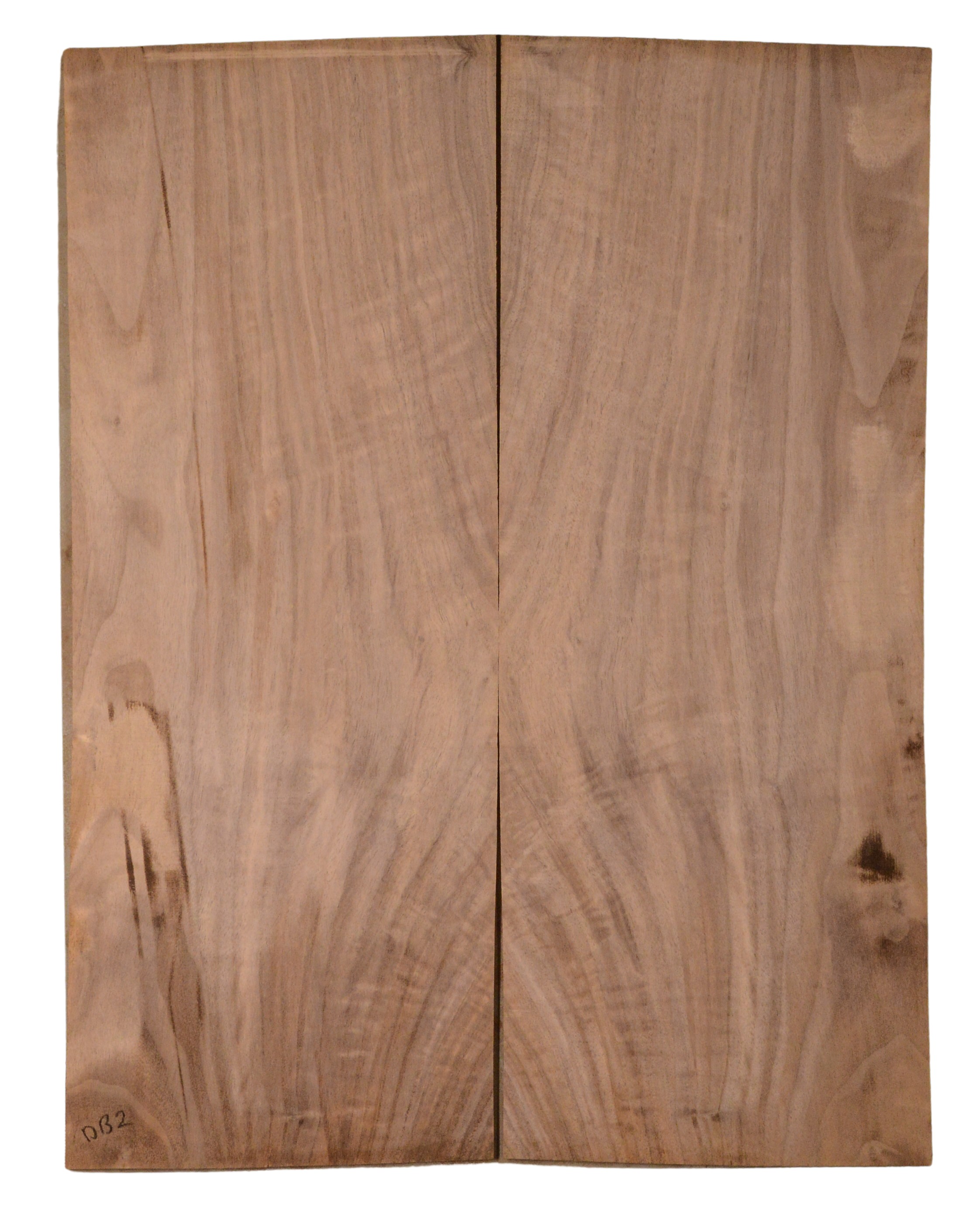 Walnut (English) GuitarBack2pcATC CHAMPTR.G.092