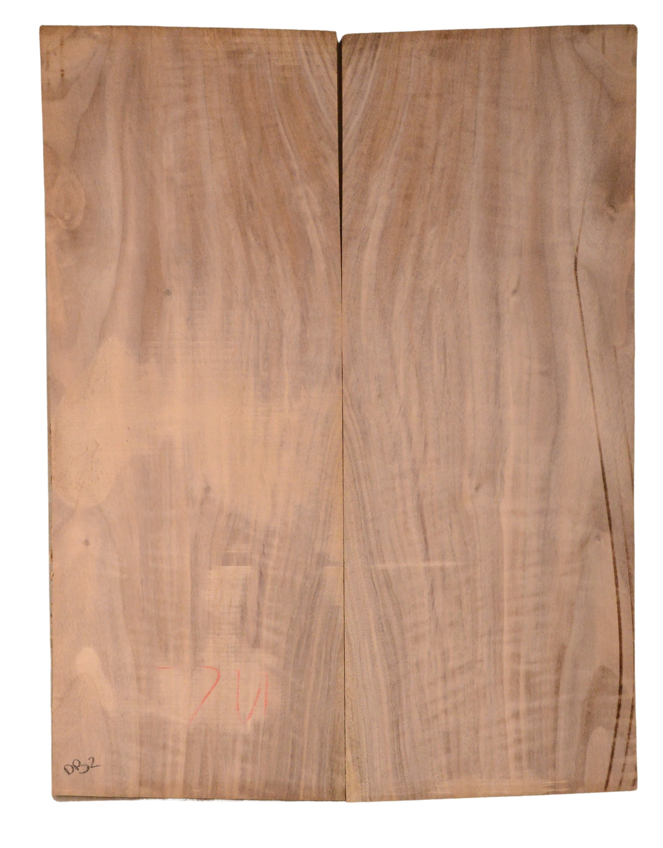 Walnut (English) GuitarBack2pcATC CHAMPTR.G.093