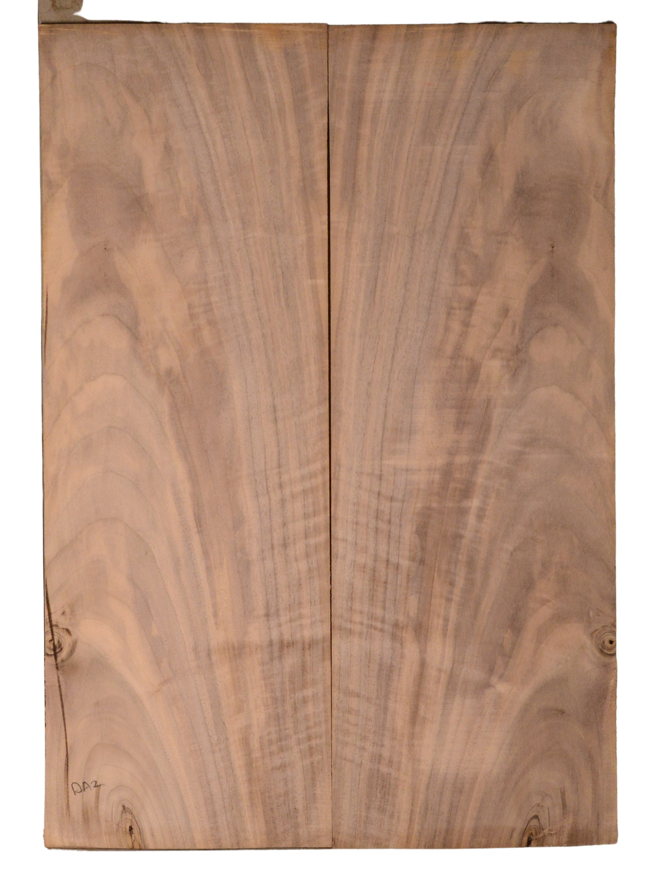 Walnut (English) GuitarBack2pcATC CHAMPTR.G.094