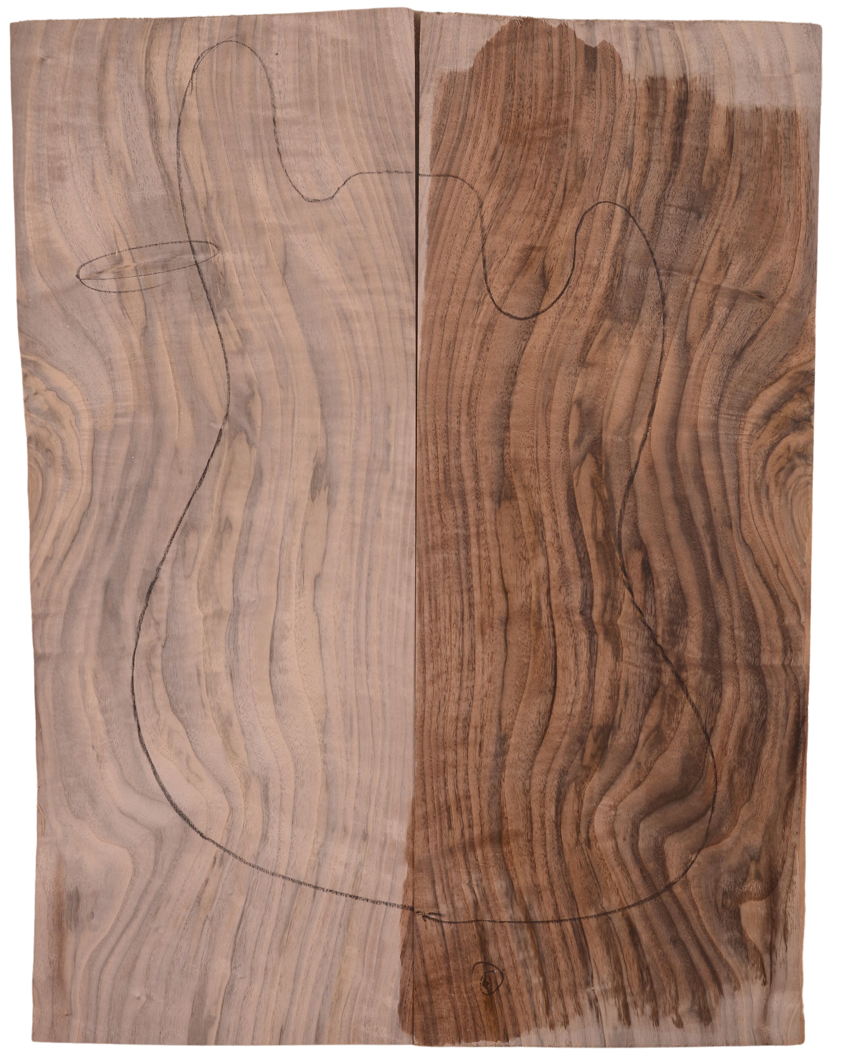 Walnut (Black) GuitarSolidBodyTopATC FENWAL.G.001