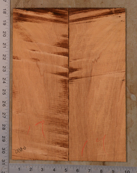 Mahogany (Genuine) UkeBack2pcATC GMAH5.112