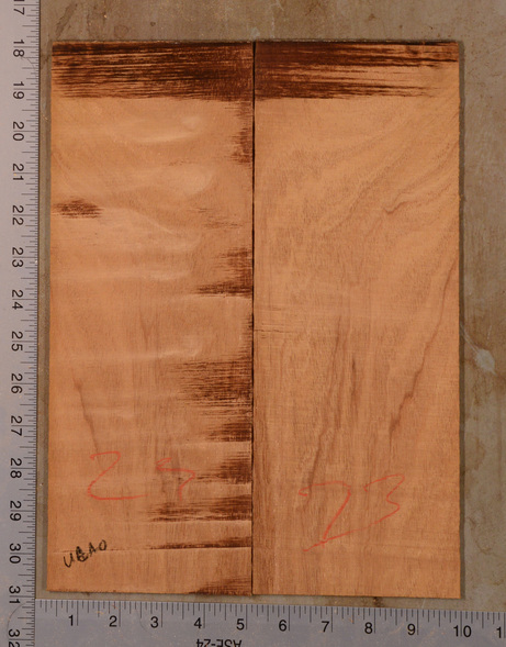 Mahogany (Genuine) UkeBack2pcATC GMAH5.113