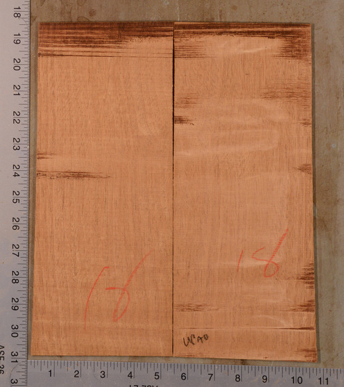 Mahogany (Genuine) UkeBack2pcATC GMAH5.116