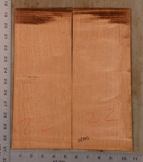 Mahogany (Genuine) UkeBack2pcATC GMAH5.117