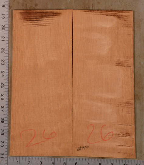 Mahogany (Genuine) UkeBack2pcATC GMAH5.118