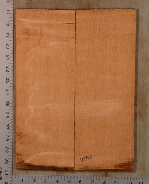 Mahogany (Genuine) UkeBack2pcATC GMAH5.120