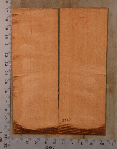 Mahogany (Genuine) UkeBack2pcATC GMAH5.121