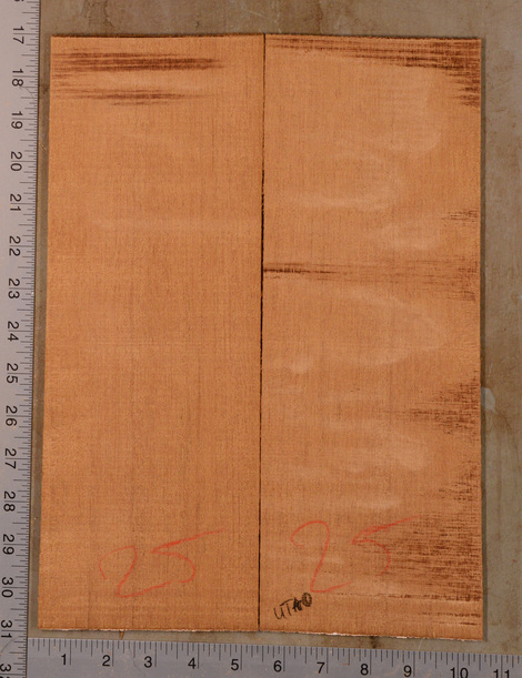 Mahogany (Genuine) UkeBack2pcATC GMAH5.122