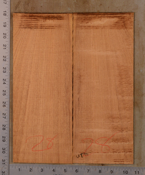 Mahogany (Genuine) UkeBack2pcATC GMAH5.126